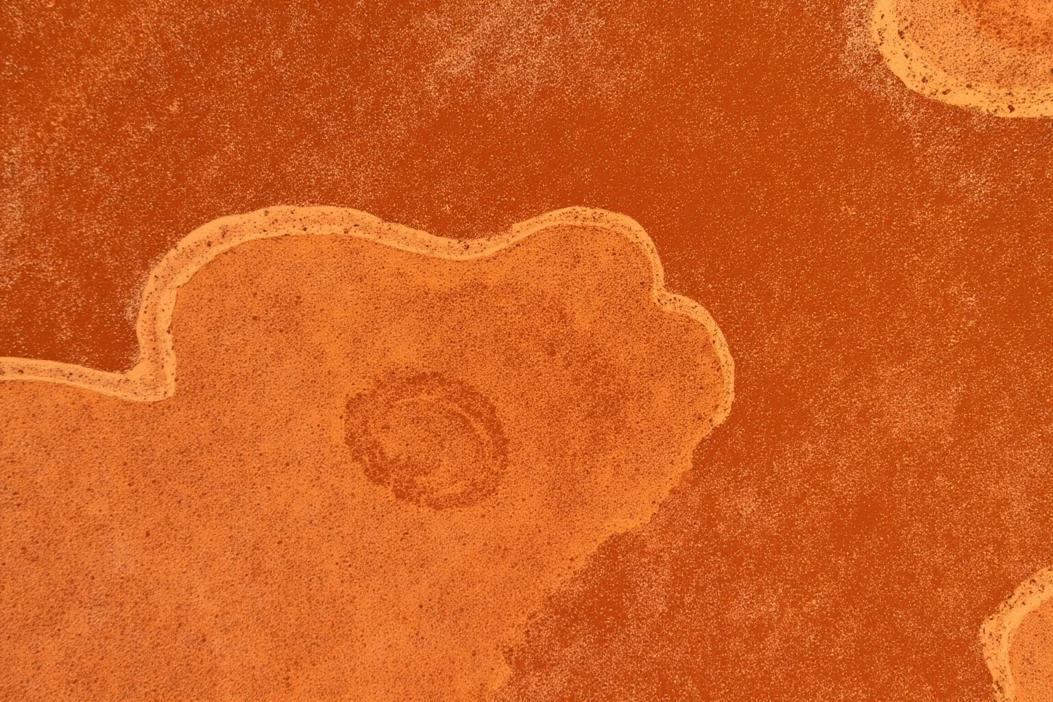 Artistic depiction of ancient Aboriginal rock art on a sandstone cliff face, ochre tones, no people visible