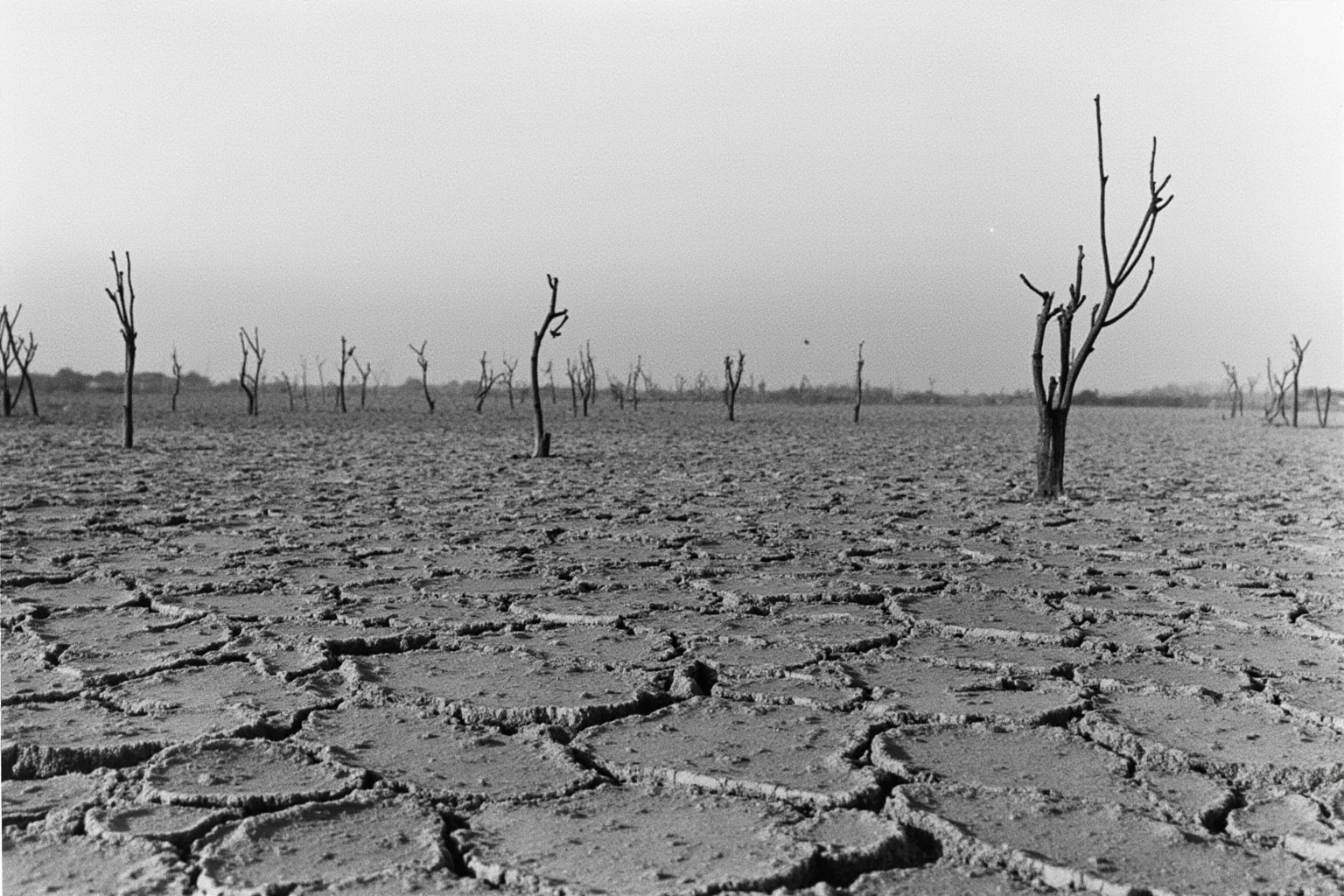 The Worst Events in Human History: 22 of the Darkest Chapters Ever Recorded 9 A barren Chinese farmland with cracked earth symbolizing famine during the Great Leap Forward era