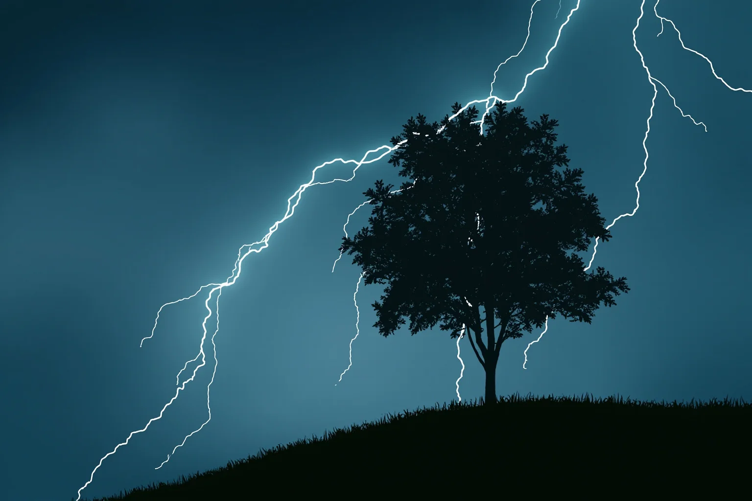 The Human Lightning Rod: The Man Who Was Struck Seven Times 11 A close-up illustration of a lightning bolt striking a tall tree on a ridge, showing branching electrical paths