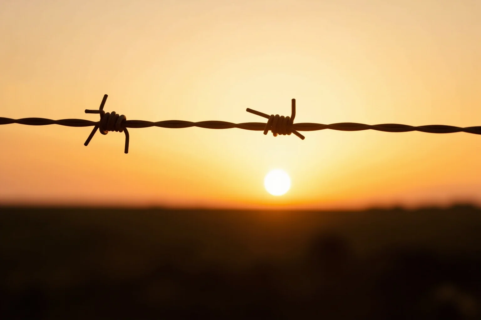 A close-up of rusted barbed wire strung across an open prairie fence line at sunset