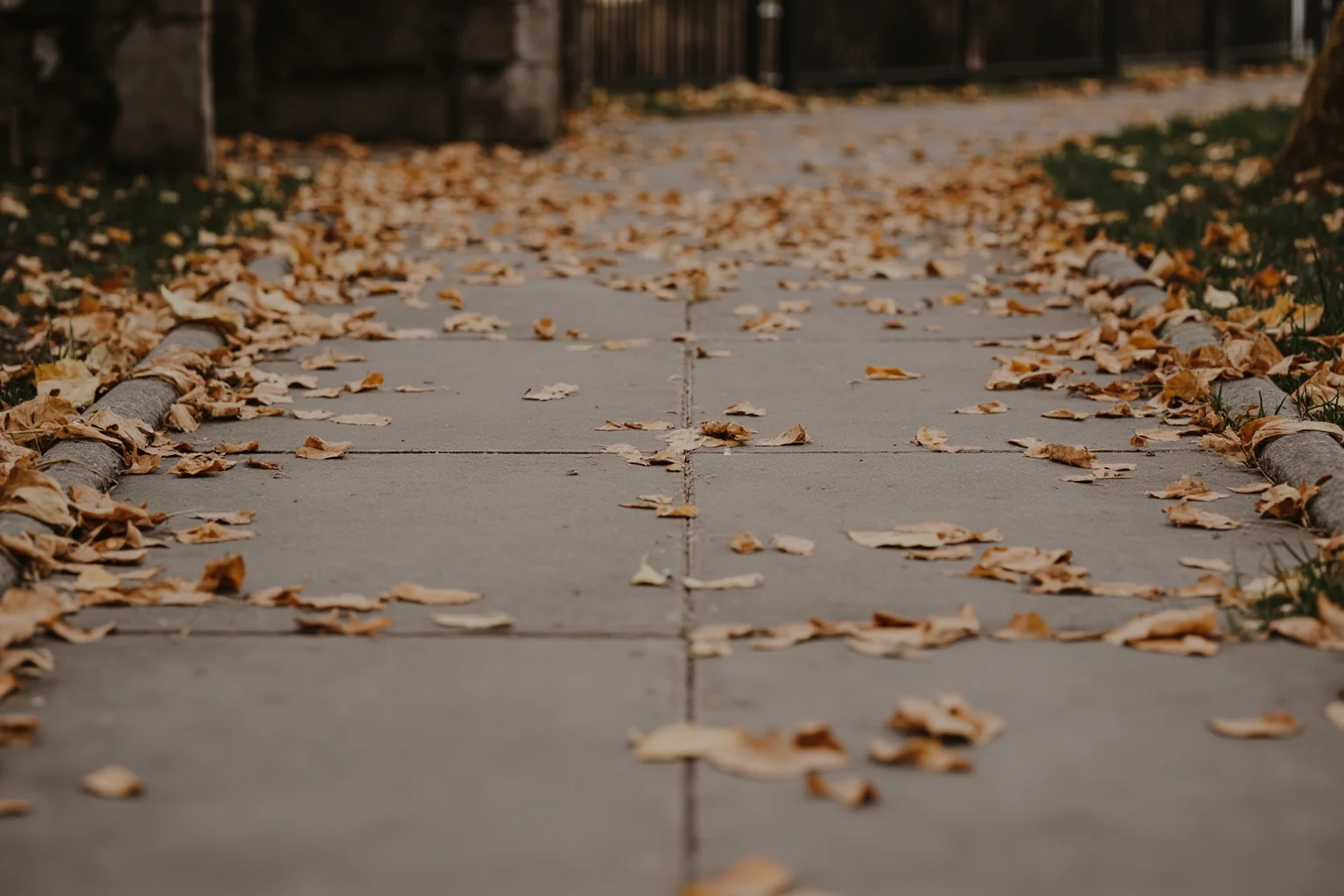 A cracked sidewalk path lined with autumn leaves near an old iron fence