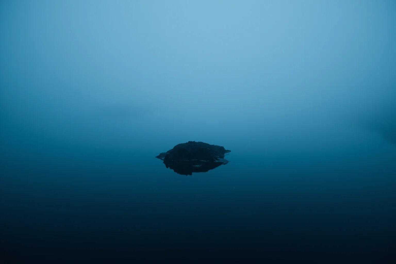 Famous Cryptids: 10 You Know and 16 Wild Ones You Probably Don't 3 A dark serpentine hump breaking the surface of a still, fog-covered Scottish loch at dusk