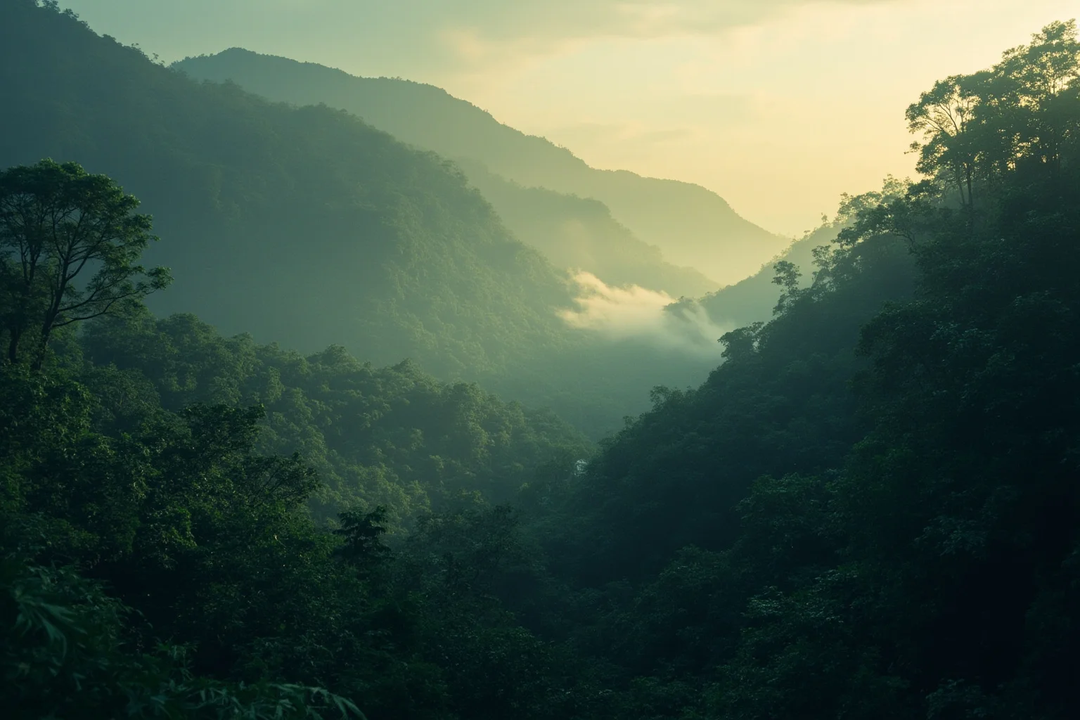A dense jungle mountain clearing at dawn with mist, symbolizing a remote historical event, no figures