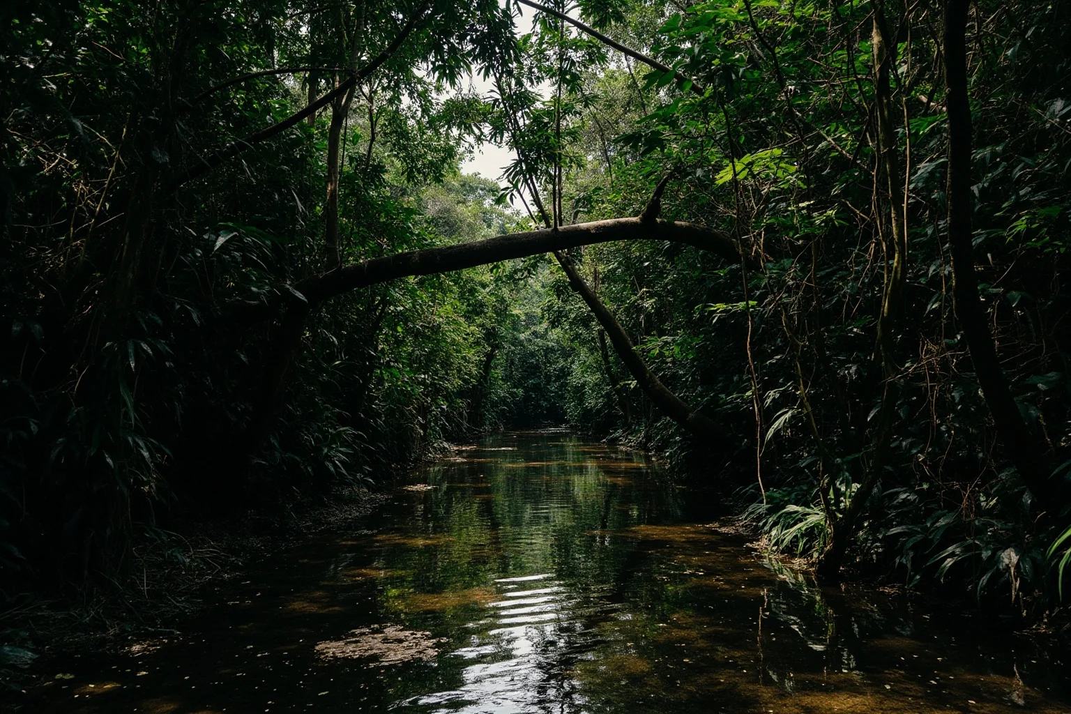 A dense tangled Amazon jungle river scene with thick vines and greenery
