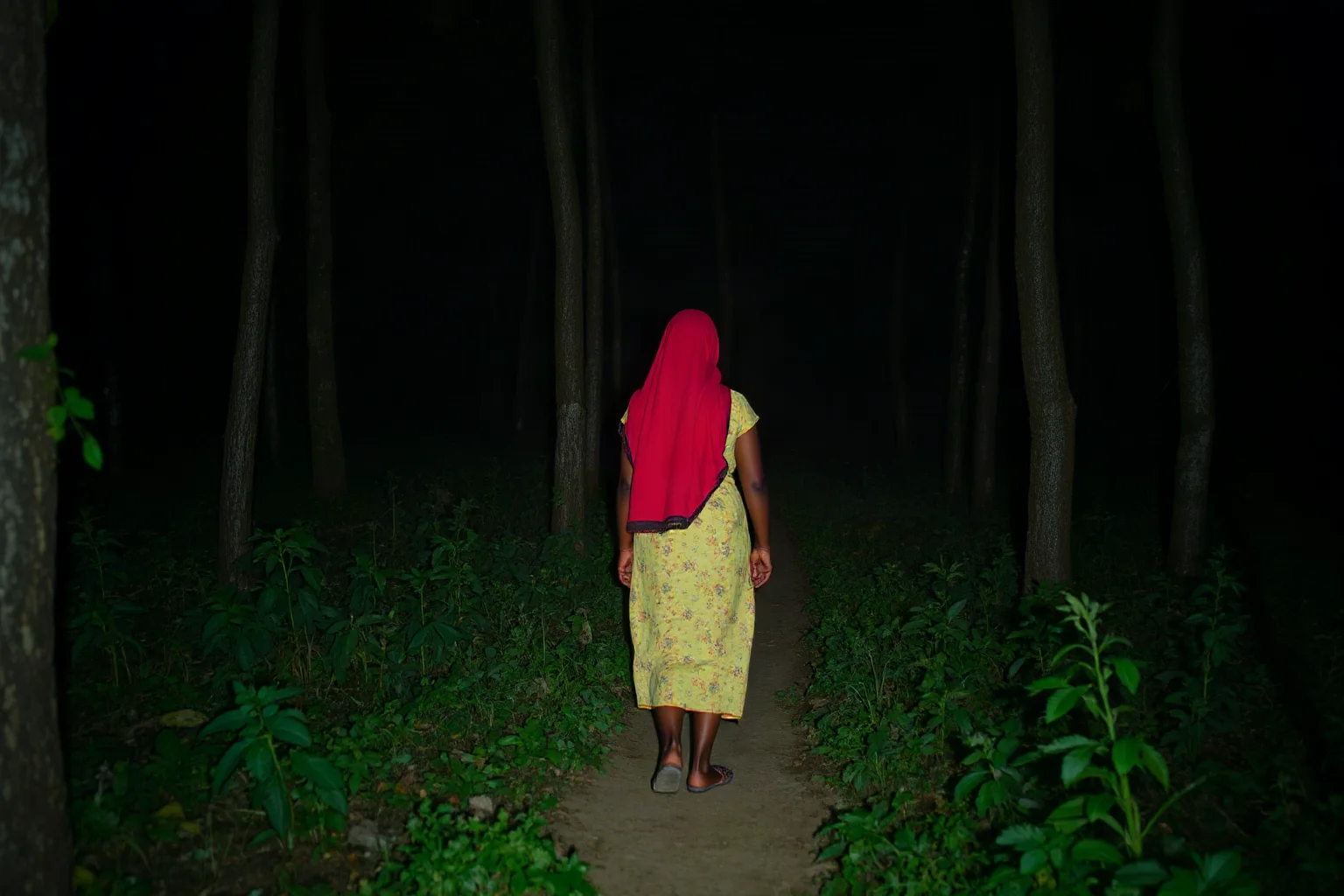 A formerly enslaved woman walking through forest at night, guiding other freed people toward the North