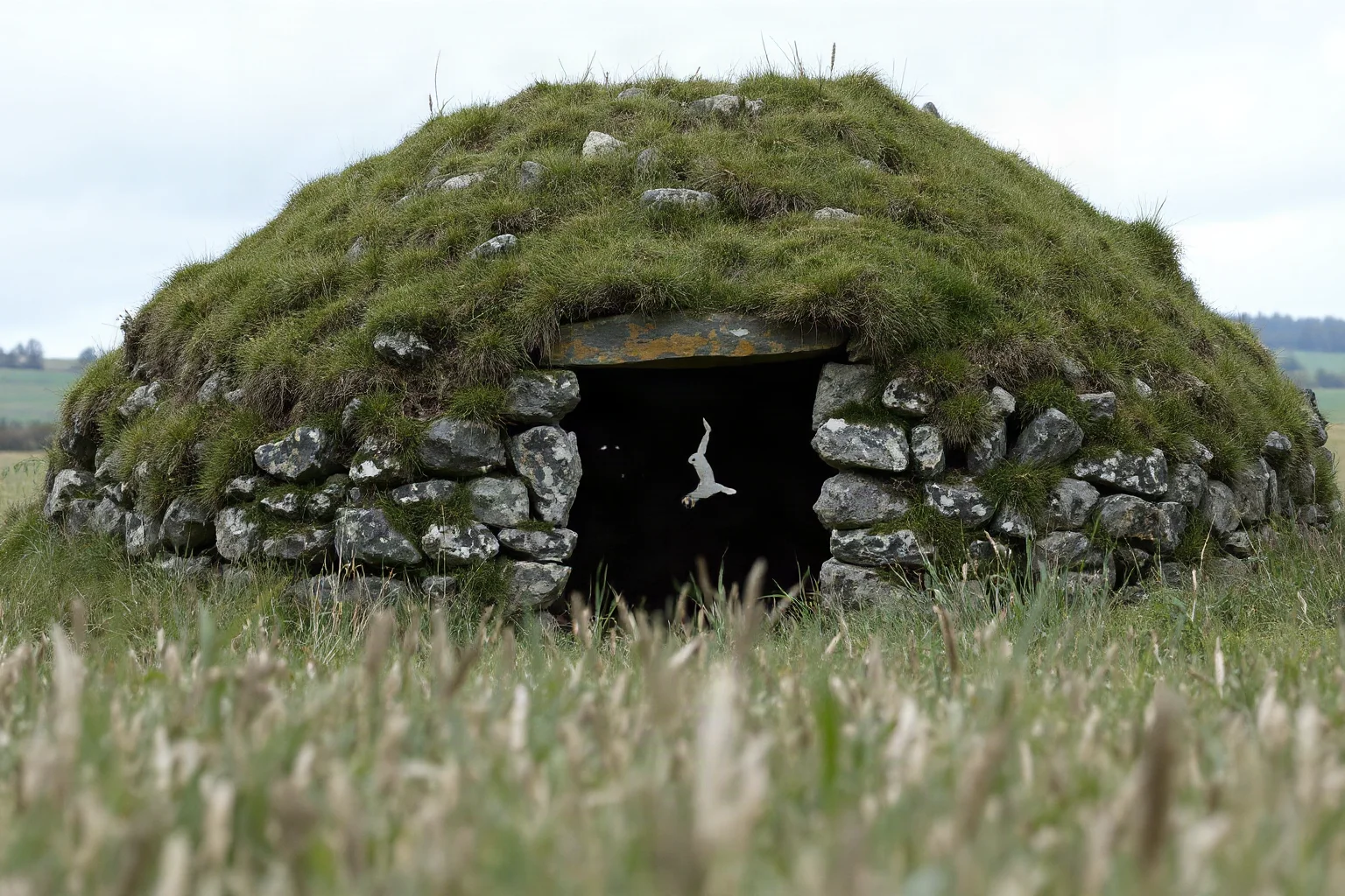 A grassy Neolithic burial mound with exposed stone entrance in a rural French field, overcast lighting