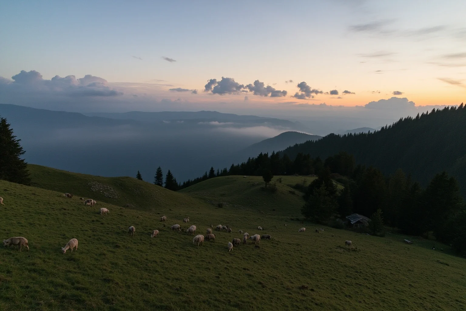A mountainous Slovakian pasture with grazing sheep on a hillside at dusk
