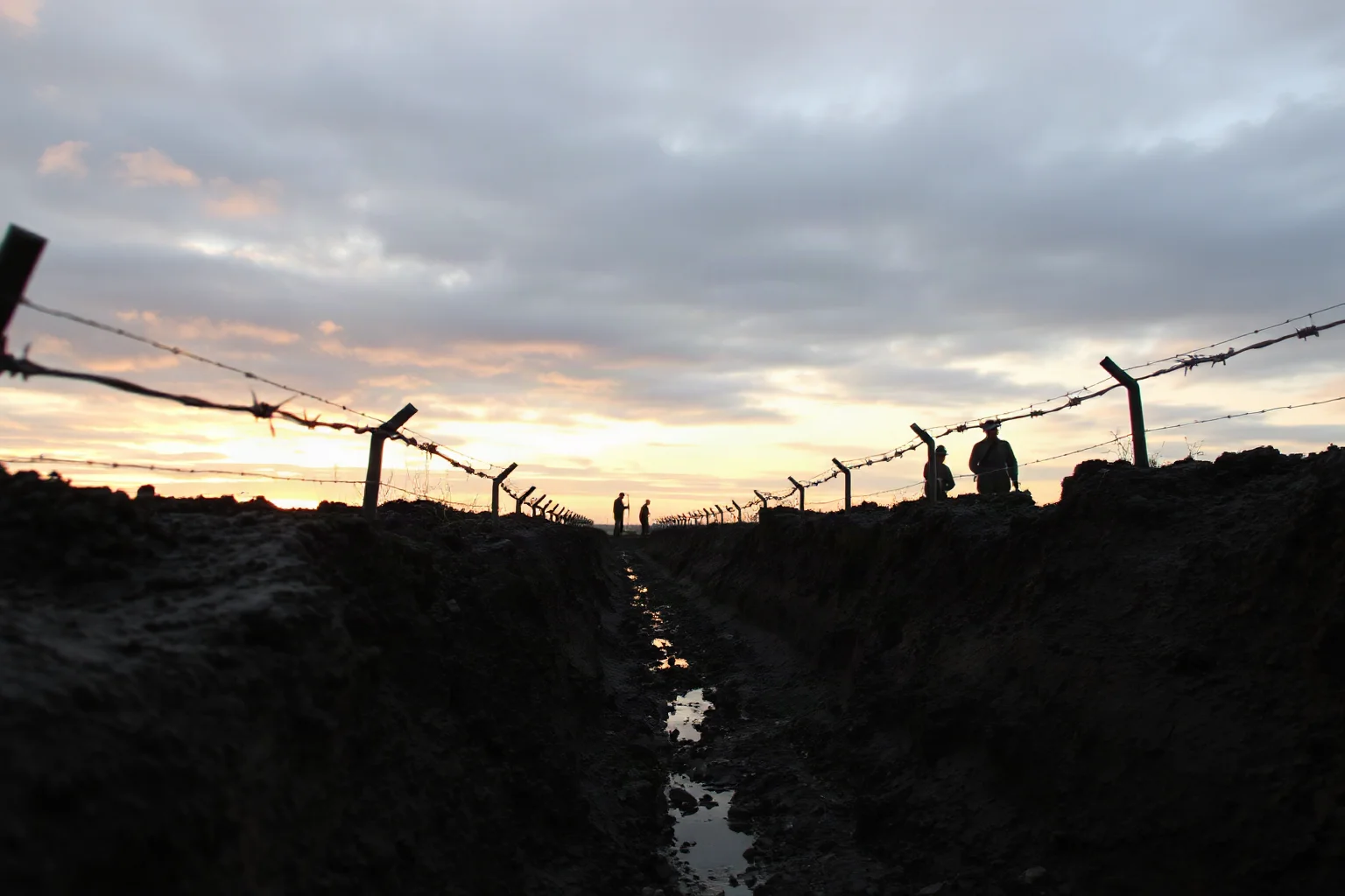 A muddy World War I era trench landscape at dawn, barbed wire silhouettes against a grey sky, no visible soldiers
