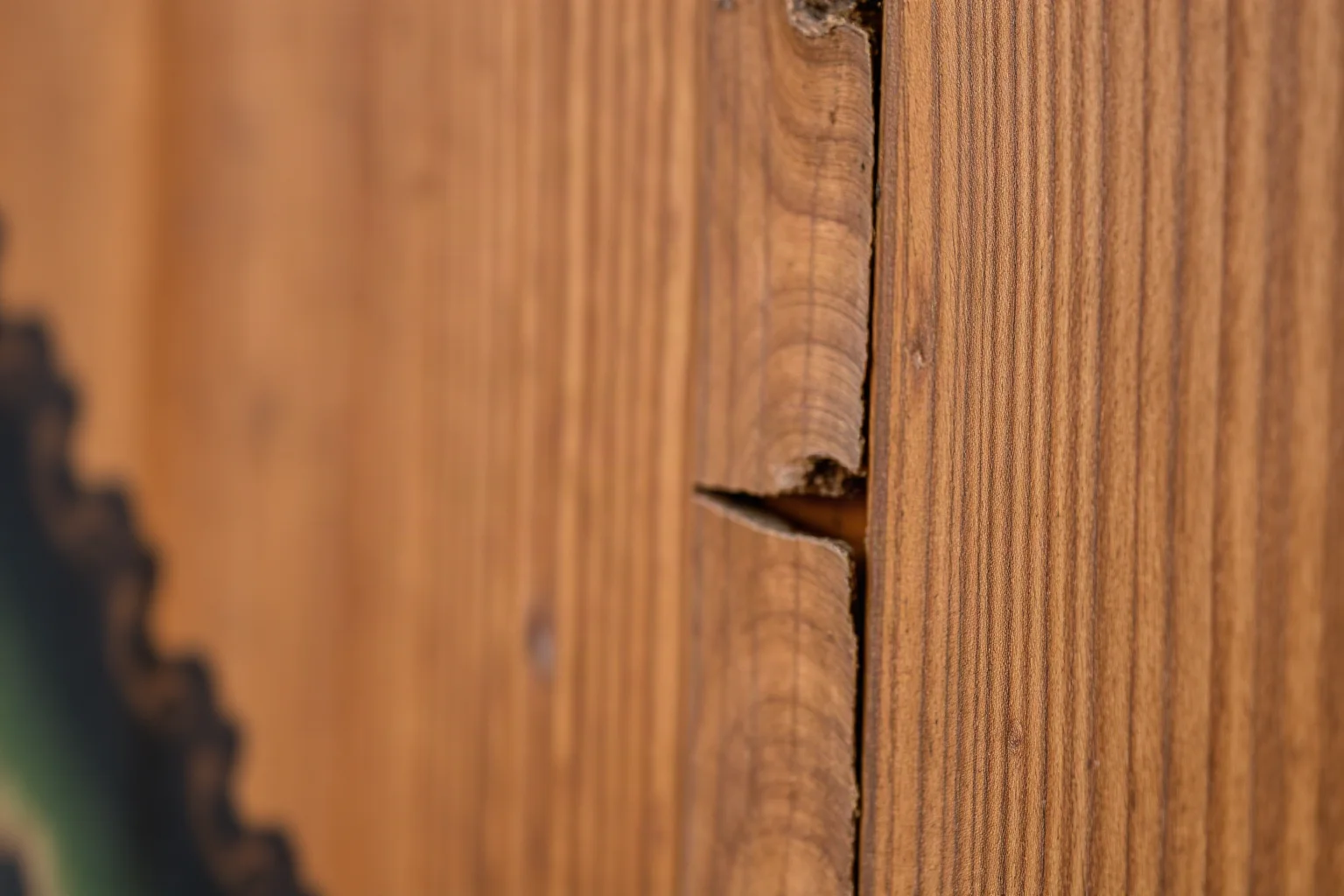 A Renaissance wooden panel painting close-up, showing the wood grain and tempera paint texture, smaller in scale than expected