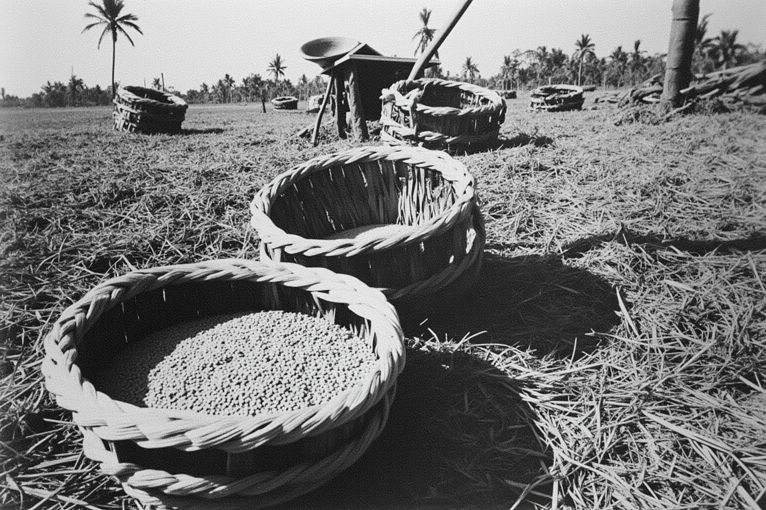 The Worst Events in Human History: 22 of the Darkest Chapters Ever Recorded 21 A rural 1940s Bengali village scene with empty grain baskets, representing famine conditions