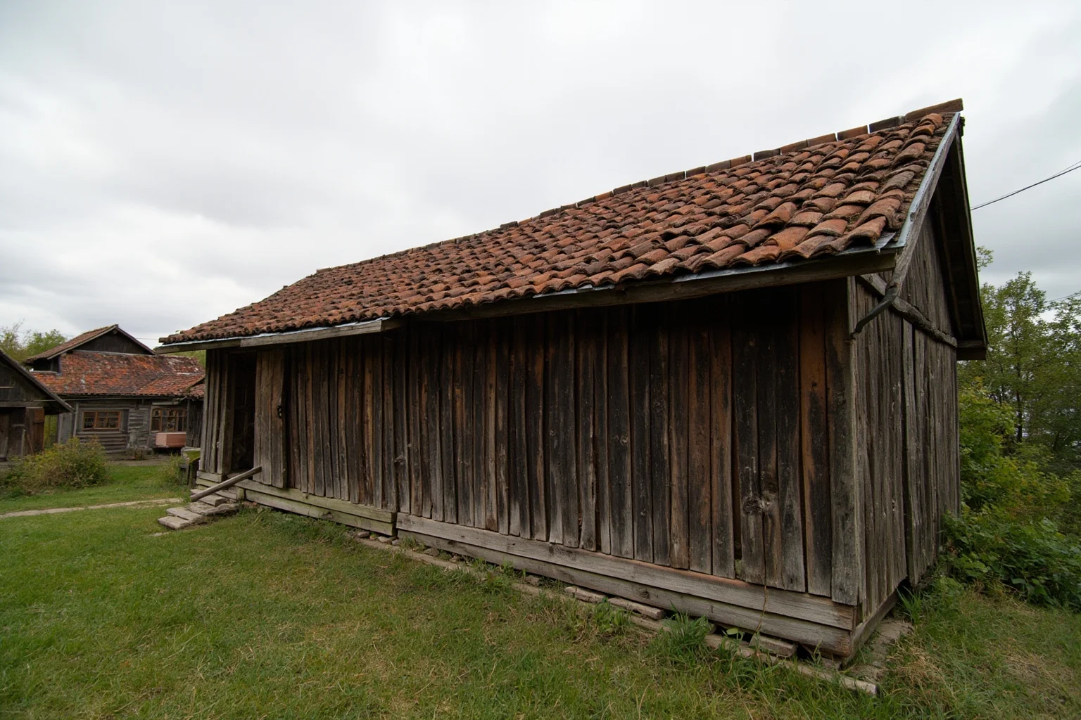 A rustic Ukrainian village yard with a wooden kennel structure, overcast sky