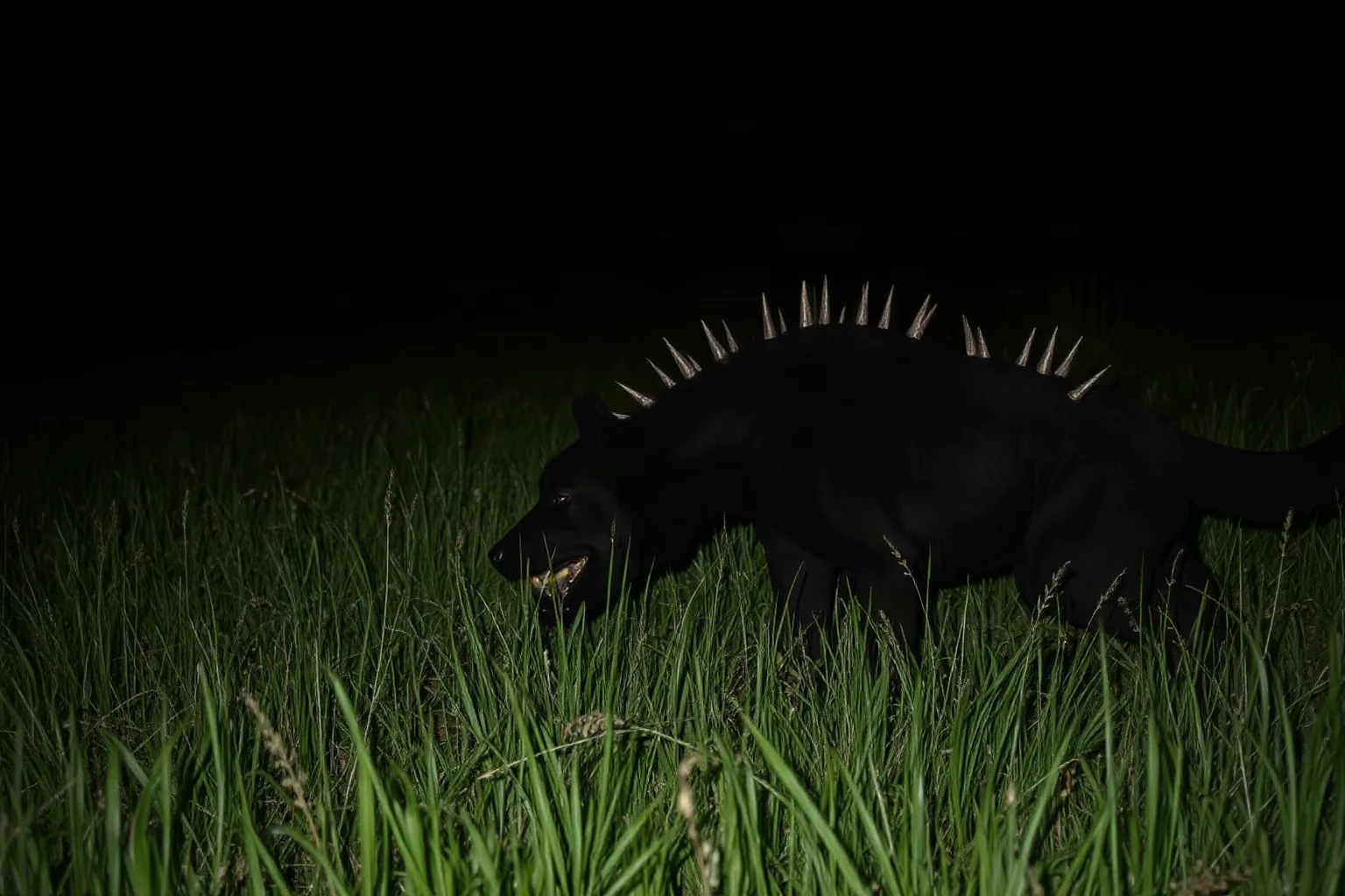 A shadowy dog-like creature with strange spines lurking near a rural farm at night
