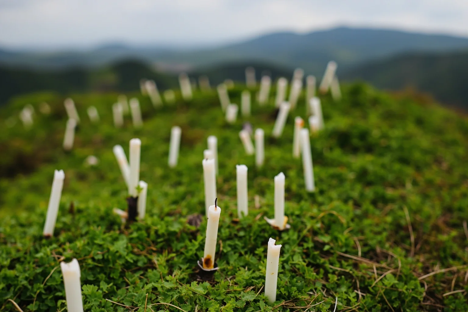 The Worst Events in Human History: 22 of the Darkest Chapters Ever Recorded 10 A simple candle memorial on green hills representing remembrance of the Rwandan Genocide