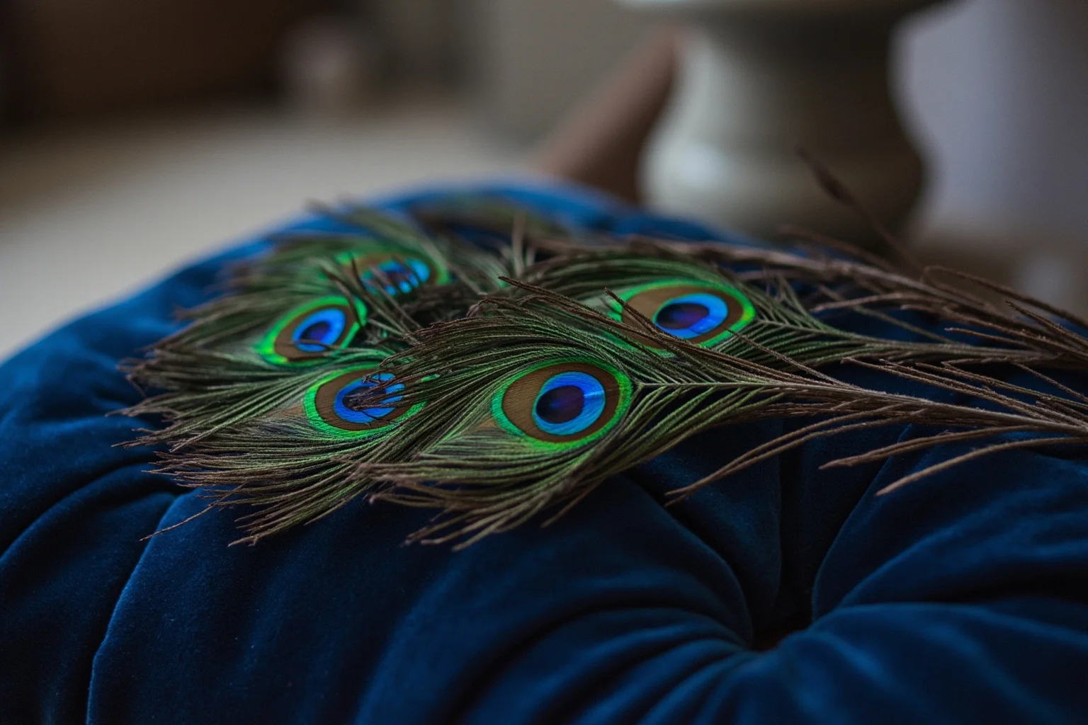 A single iridescent peacock feather resting on a velvet cushion
