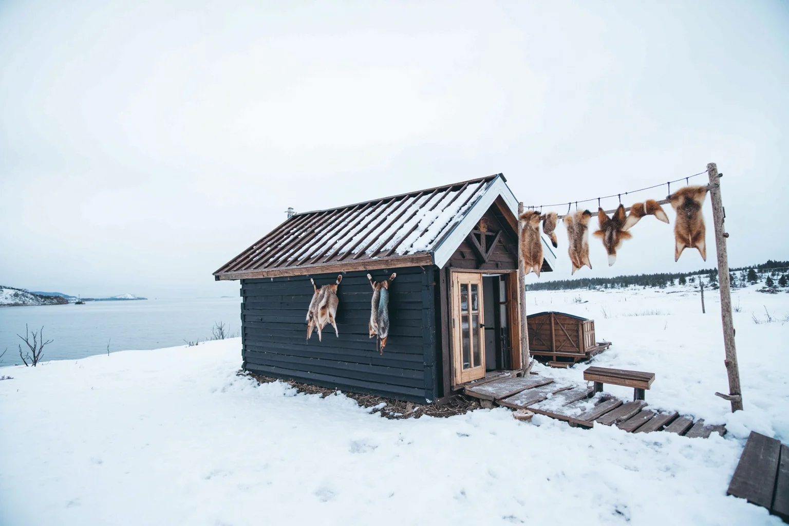 A small wooden cabin on a snow-covered Arctic coastline with fox pelts drying outside