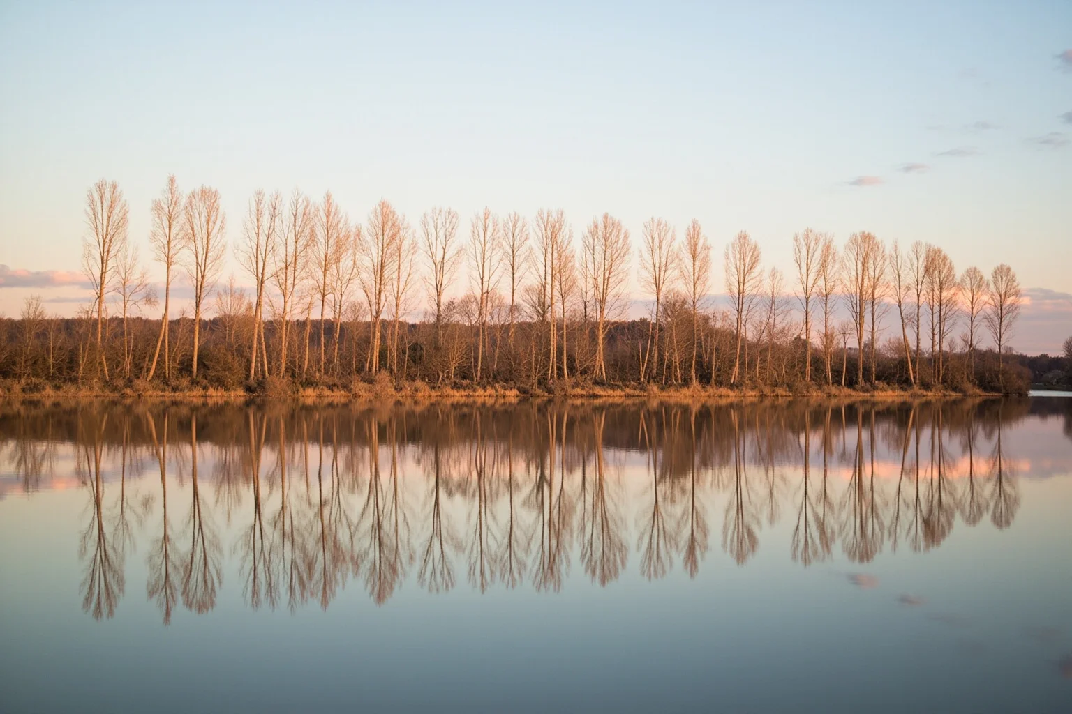 Amazing Facts About Claude Monet: His Life and 10 Greatest Paintings 17 A tall row of poplar trees reflected in a calm river under a pastel-colored sky