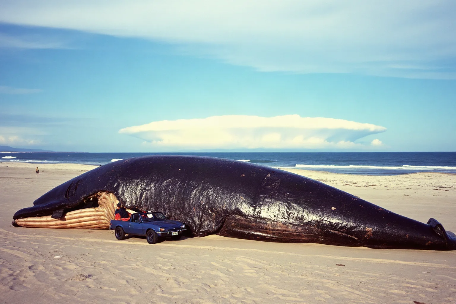 A whale carcass on a sandy beach with an explosion cloud in the distance, 1970s coastal setting