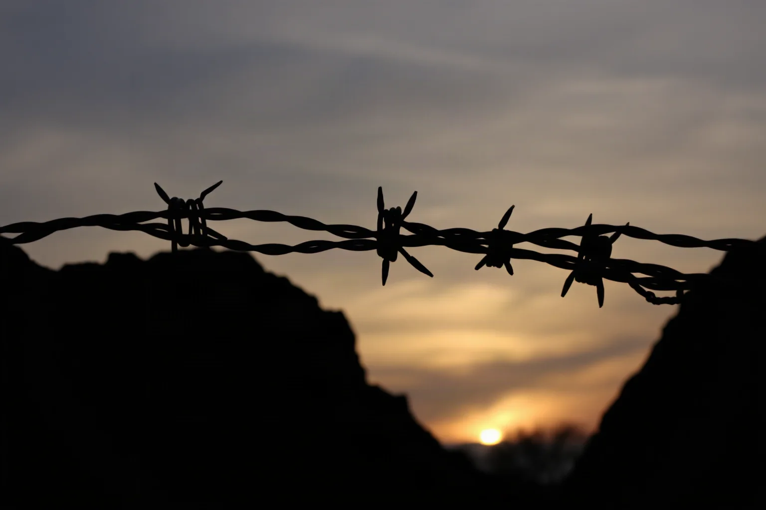 A World War I trench with coiled barbed wire silhouetted against a grey dawn sky
