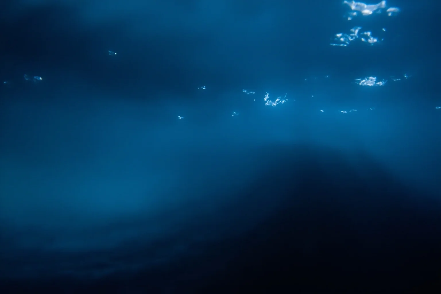22 Ocean Mysteries We Still Haven't Solved 19 Abstract sound-wave visualization rippling through deep blue underwater darkness