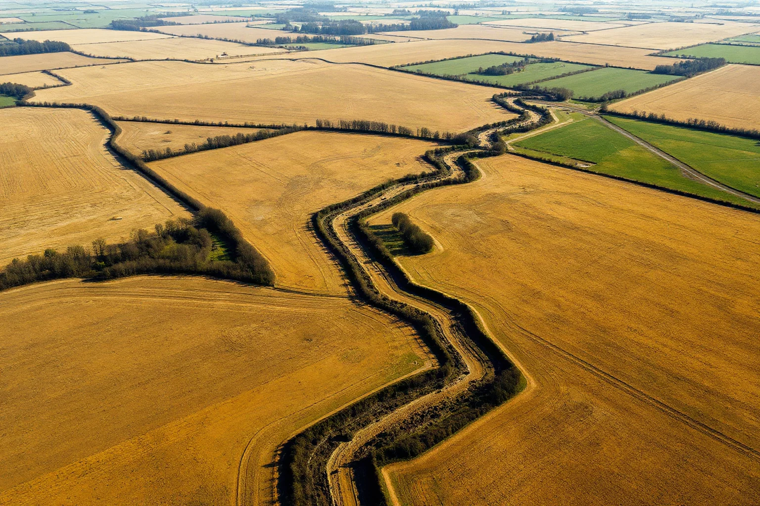 Aerial-view illustration of zigzagging trench lines cutting across a muddy European countryside landscape