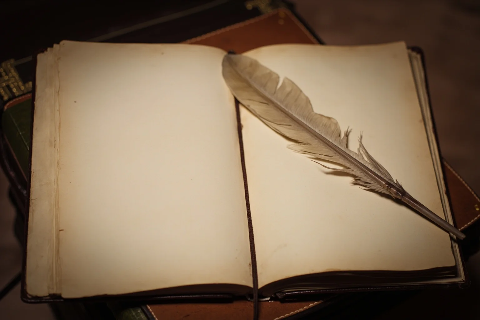 26 Facts About Nostradamus and His Predictions 7 An open antique leather journal with blank aged pages and a feather quill resting on top