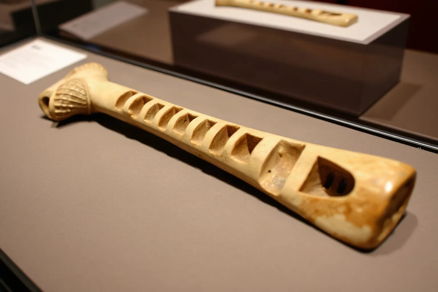 Ancient carved bone tool with rows of notches, displayed on museum velvet