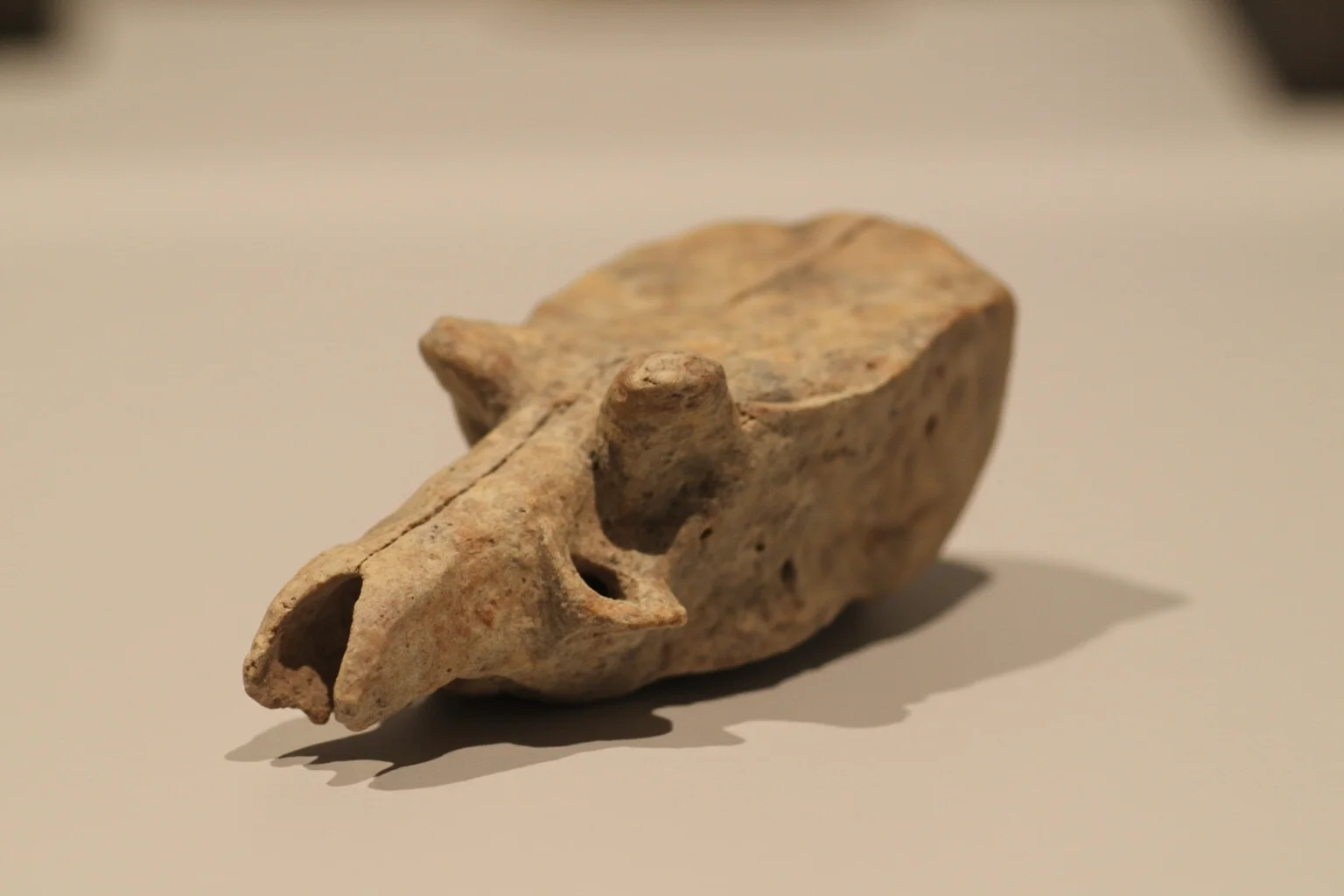 Ancient stone-age skull fragment with a small round hole, displayed as an archaeological museum artifact illustration
