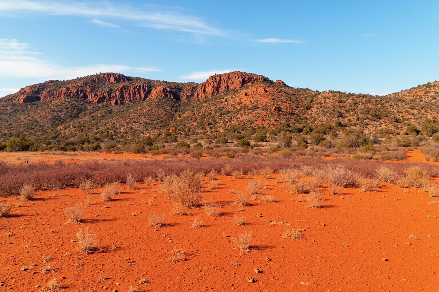 Australian outback landscape with red dirt, sparse vegetation, and exposed rocky outcrop