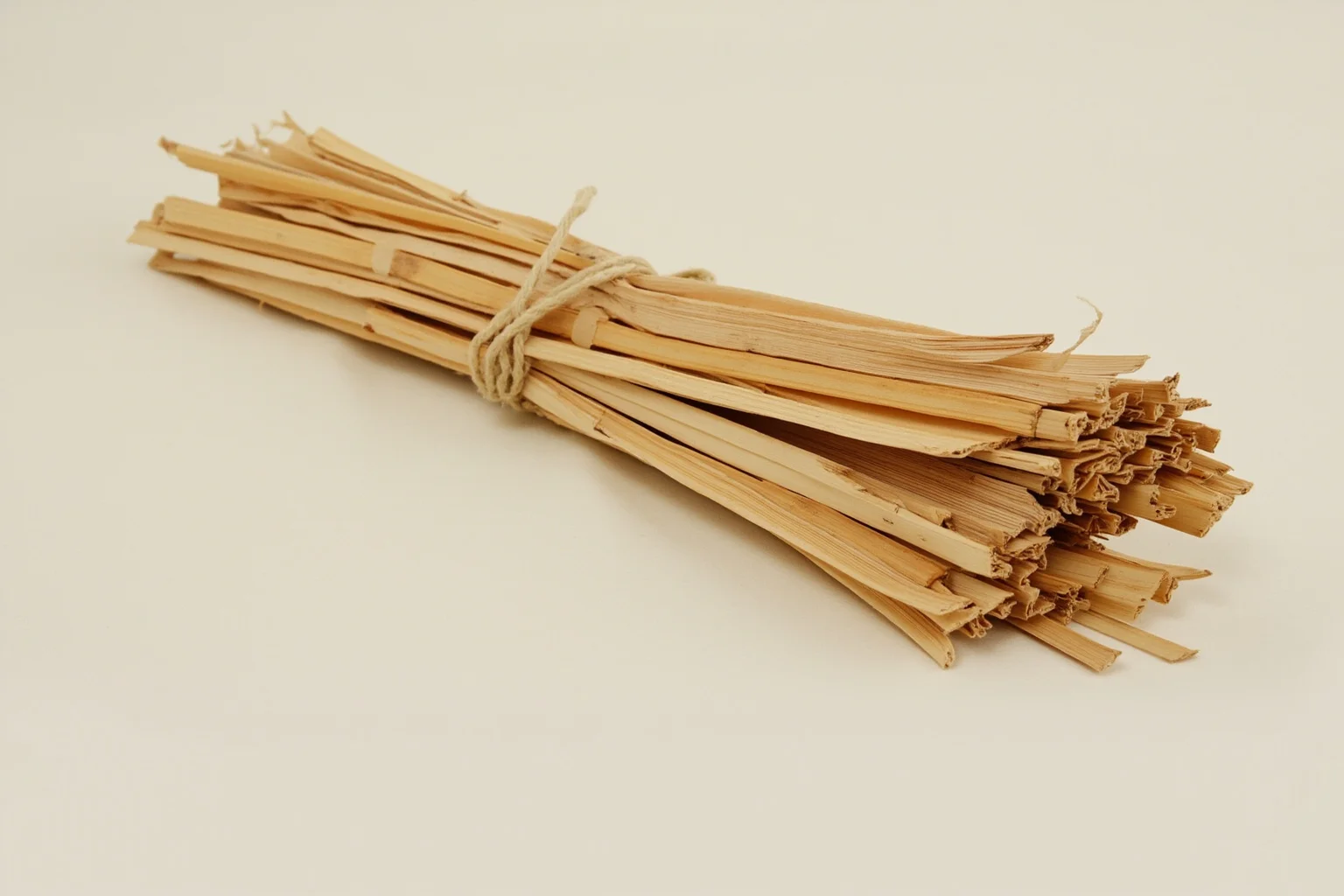 Bundle of thin bamboo strips bound with cord, ancient Chinese manuscript style