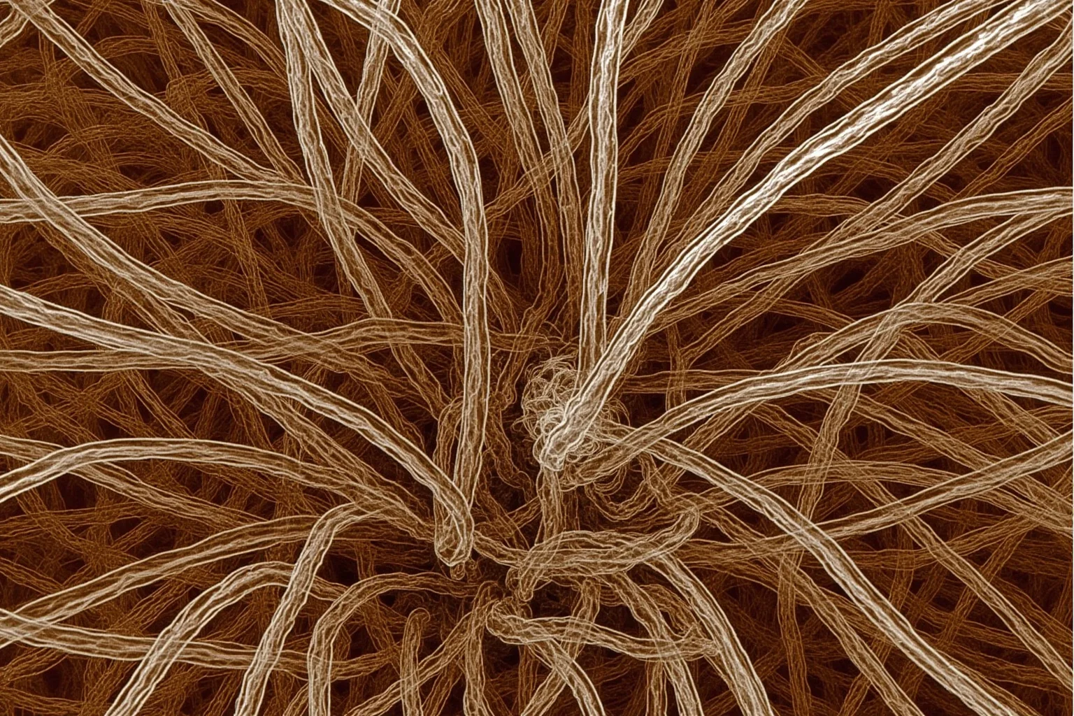 Close-up illustration of thread-like Tortotubus fungal filaments spreading through ancient Silurian soil