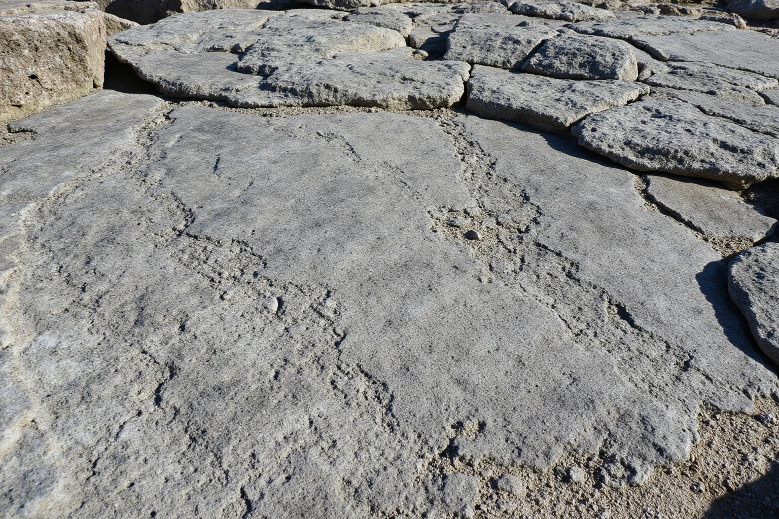 Coastal rocky shoreline in East Asia with visible fossil trackway impressions in flat stone