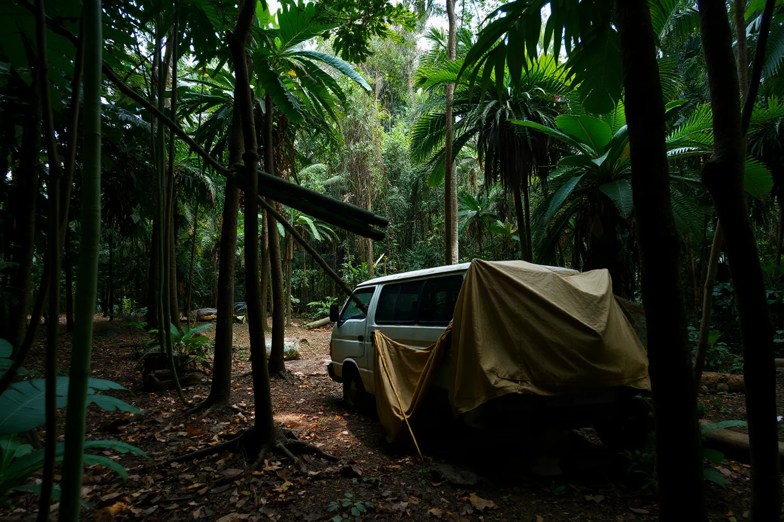 Dense Colombian jungle with a quiet abandoned guerrilla camp clearing