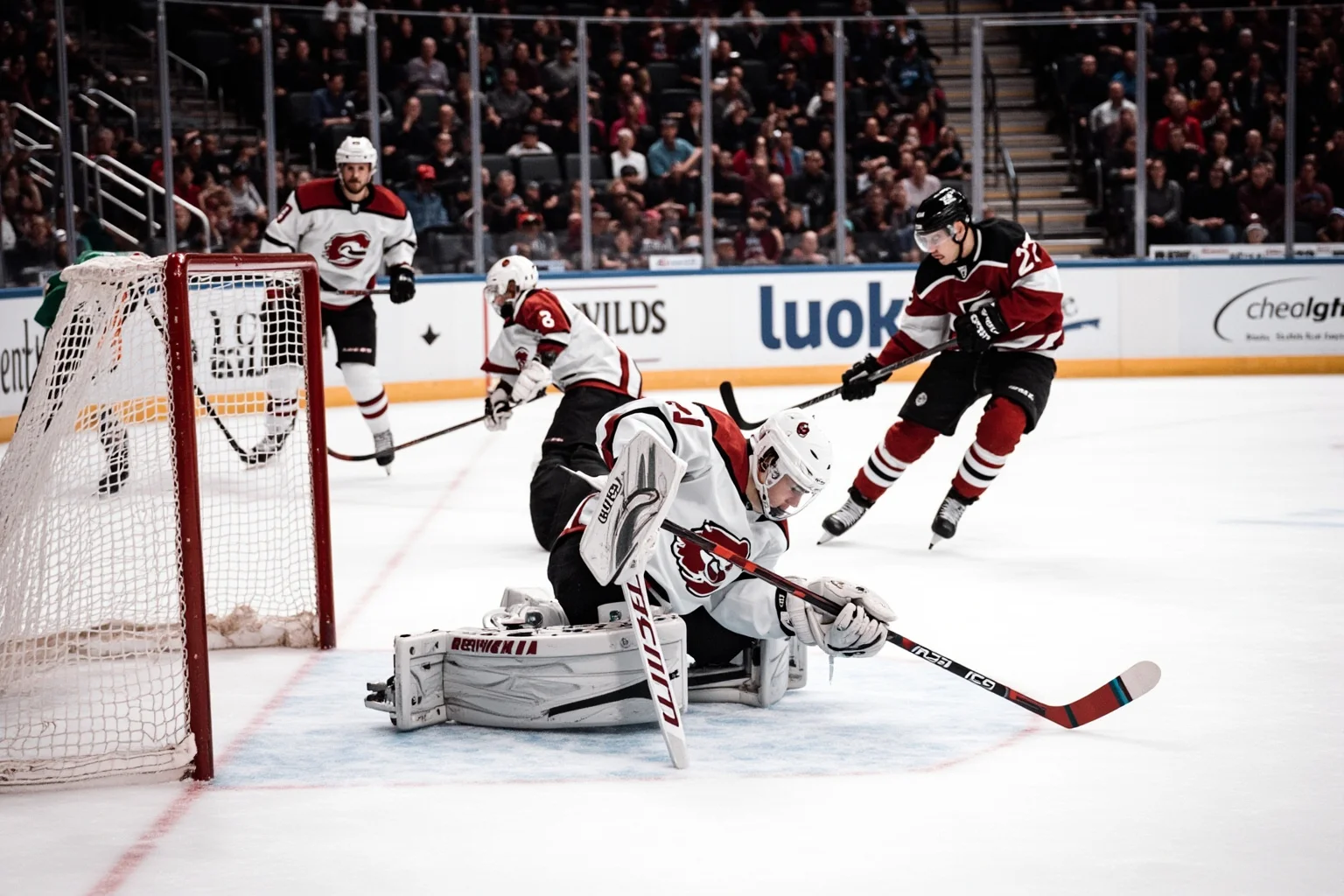 Female Athletes In History Who Changed The Game 19 Female ice hockey goaltender in full pads making a diving save in front of the net inside a packed arena