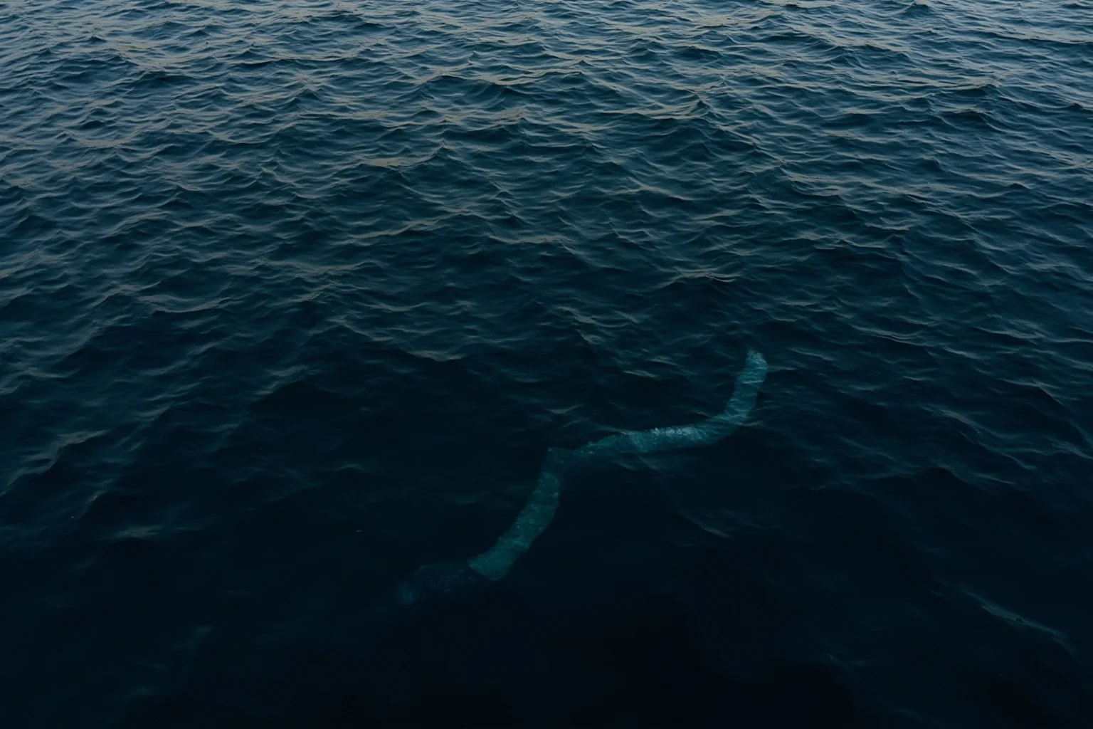 Illustration of ripples on a dark Scottish loch with a vague serpentine shape beneath the surface