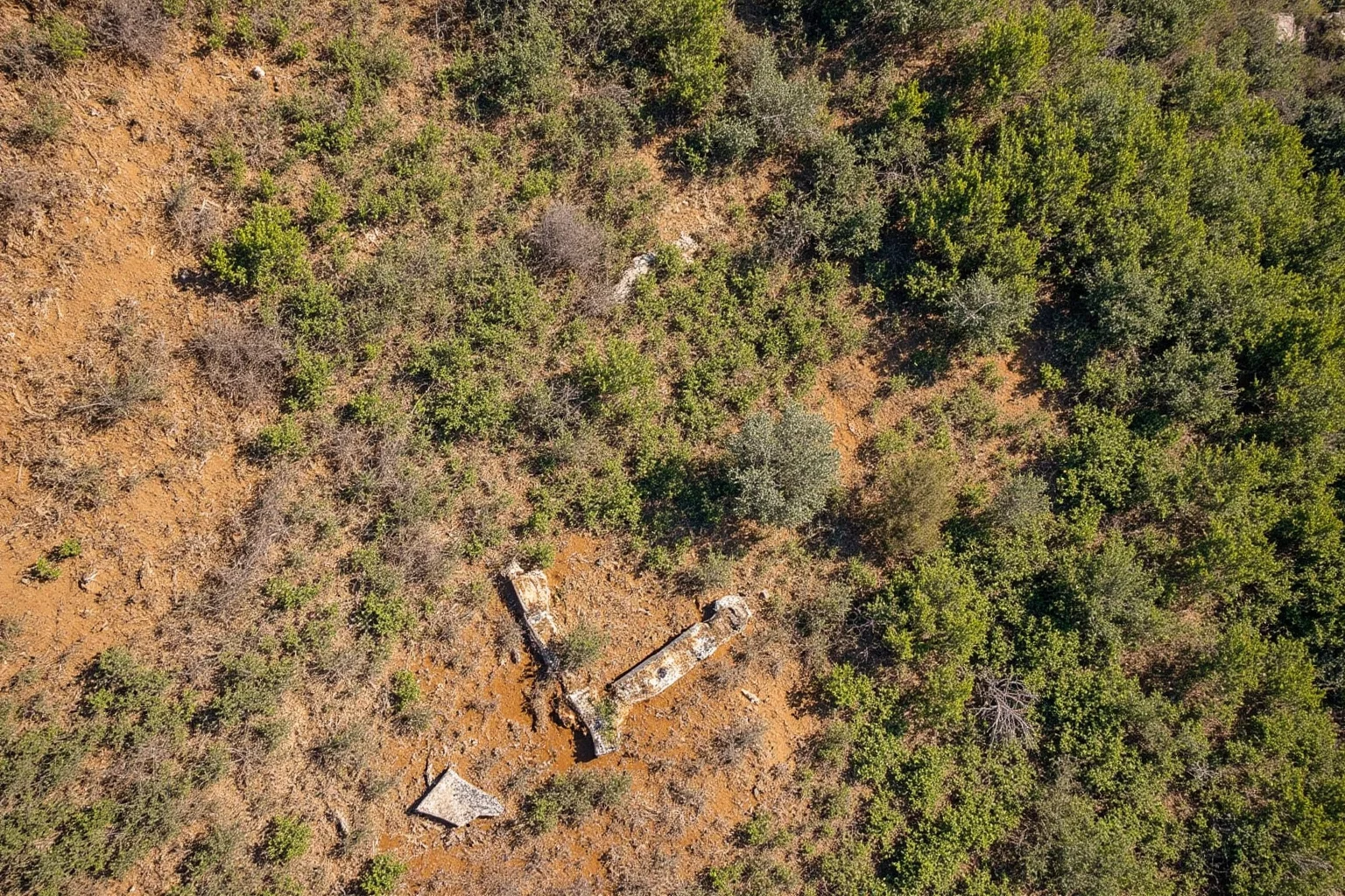 Overgrown hillside with faint outlines of buried Roman ruins beneath soil and vegetation