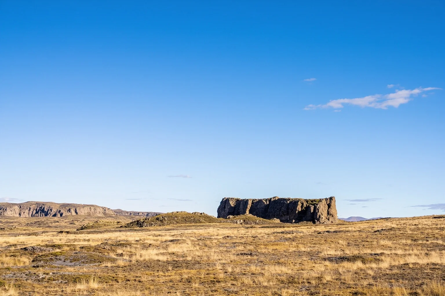 Patagonian steppe landscape with dry grassland and exposed rock outcrops under wide open sky