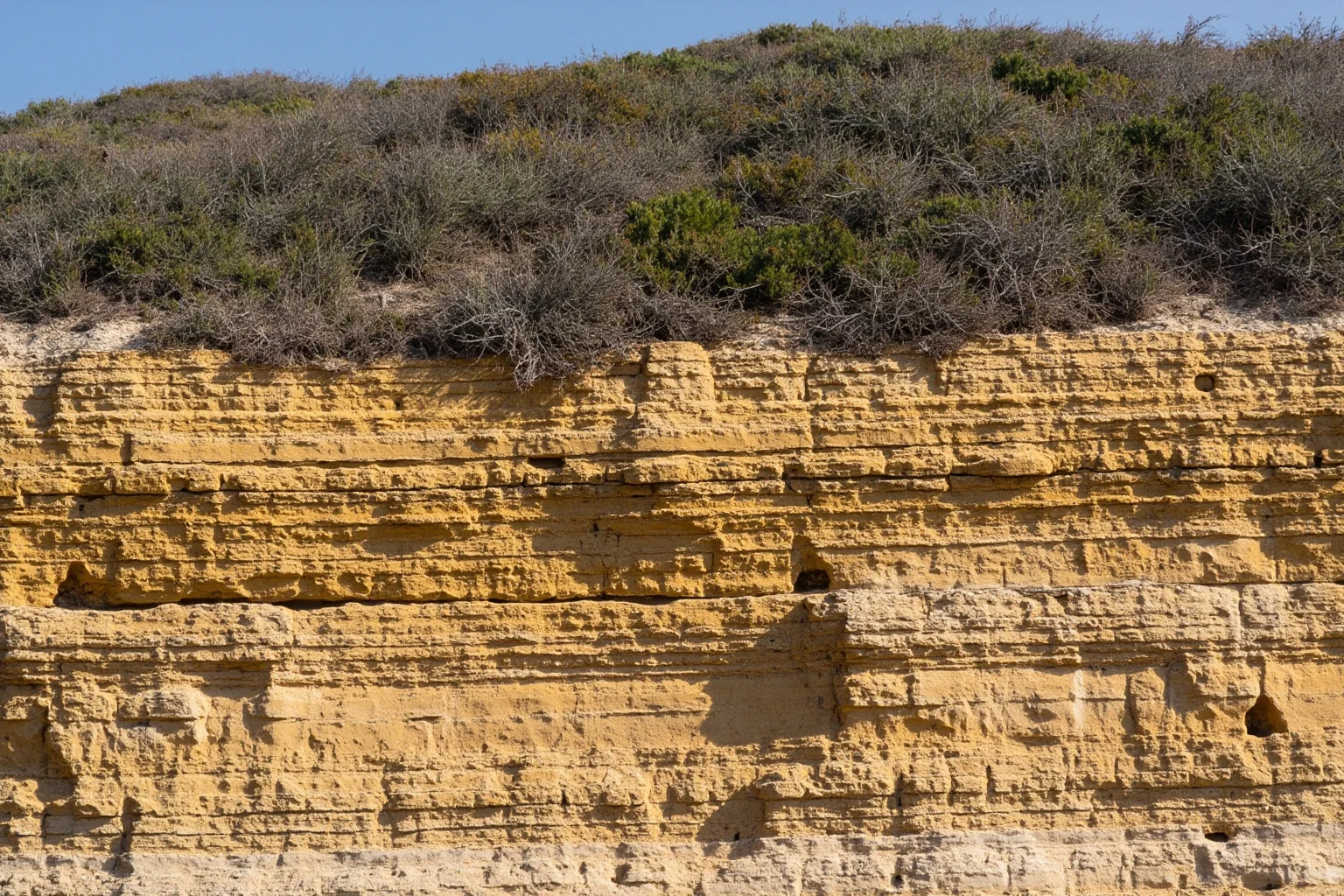 Portuguese coastal cliffside with layered sedimentary rock and scrubby vegetation above