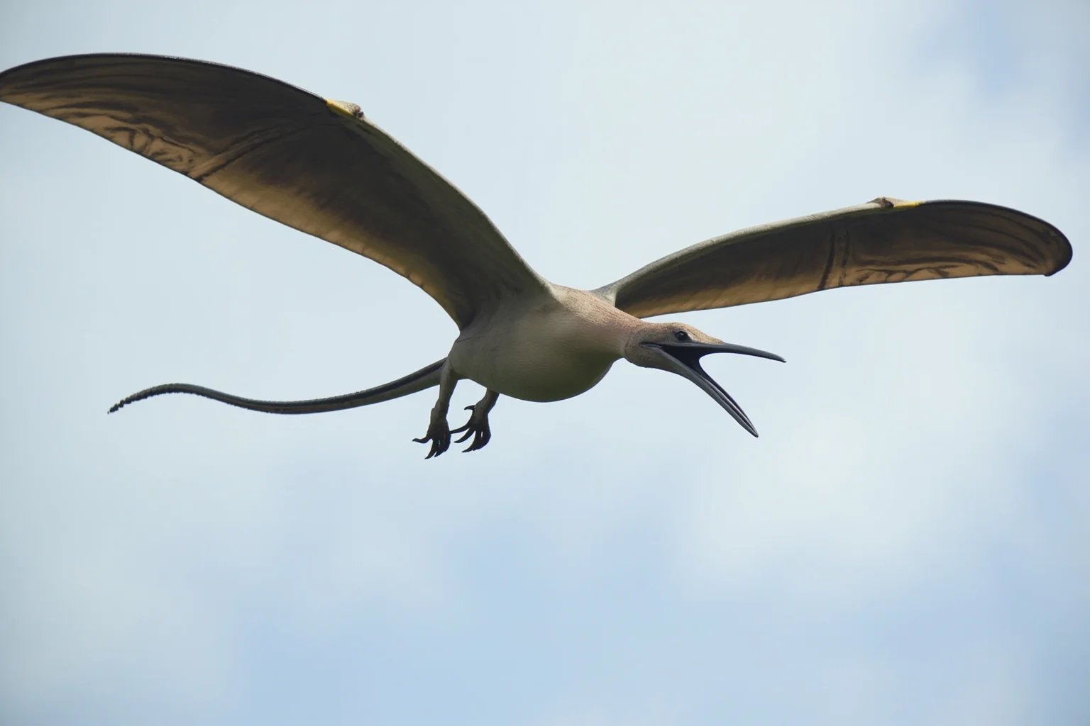 Quetzalcoatlus pterosaur in flight with wings spread wide against sky, showing its airplane-sized wingspan