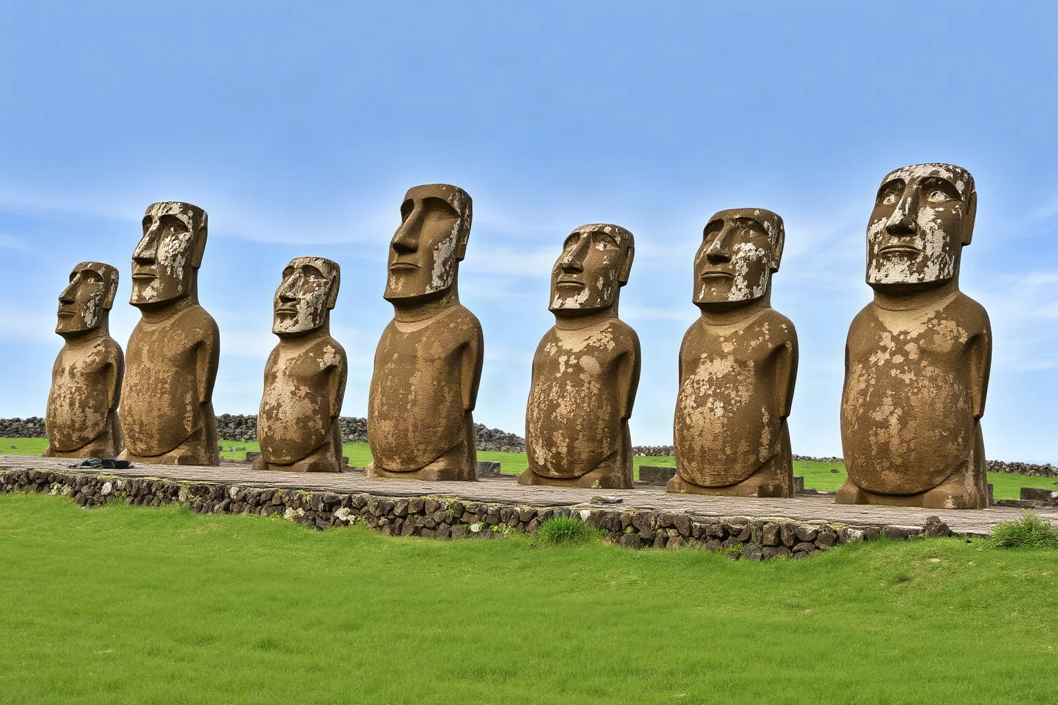 Row of giant stone head-and-torso statues facing outward on a grassy coastal cliff