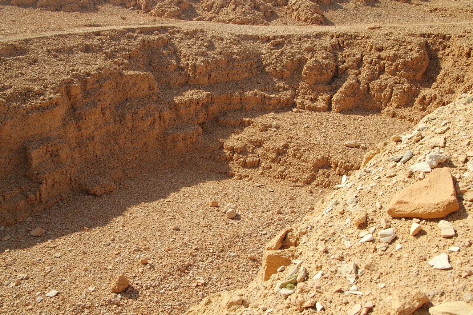 Rugged high desert quarry landscape with layered rock strata and scattered bone fragments