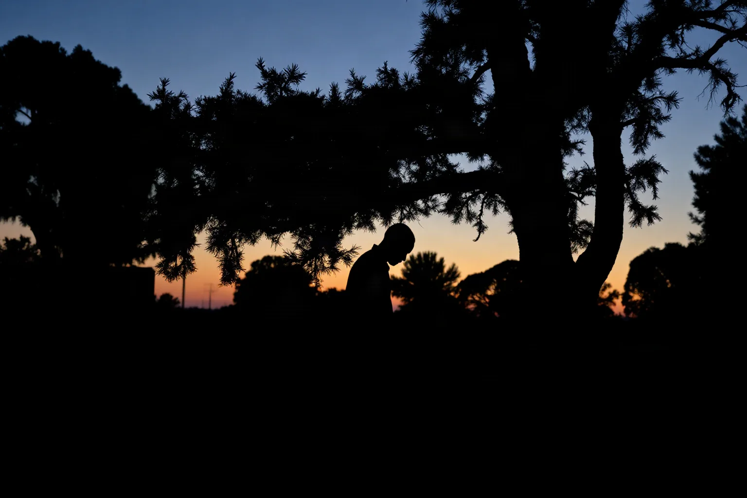 Silhouette of a person standing beneath a tree at dusk, with the composition evoking the haunting imagery of the Jim Crow era South