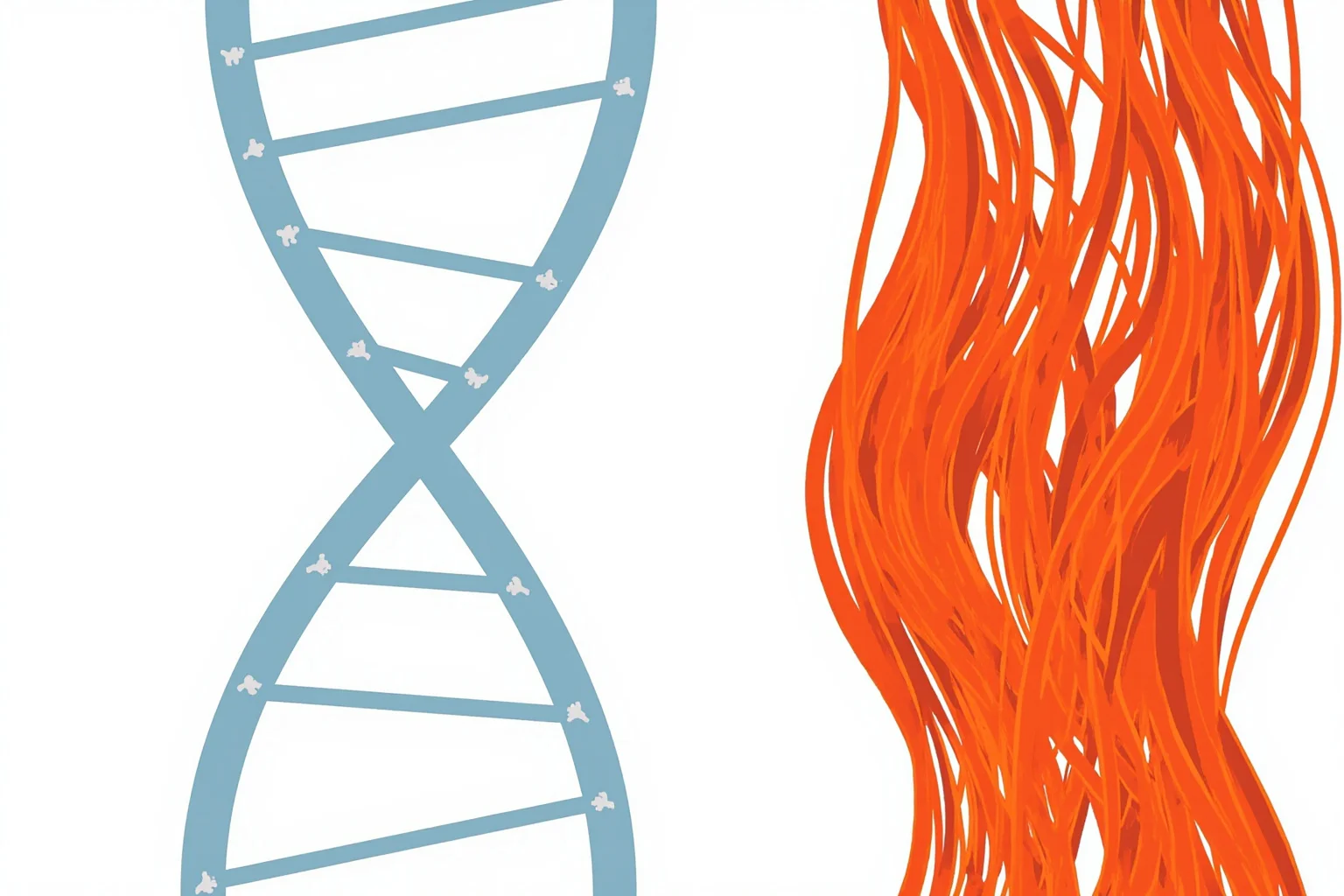 Scientific illustration of a DNA strand next to a strand of vivid red hair, clean educational style