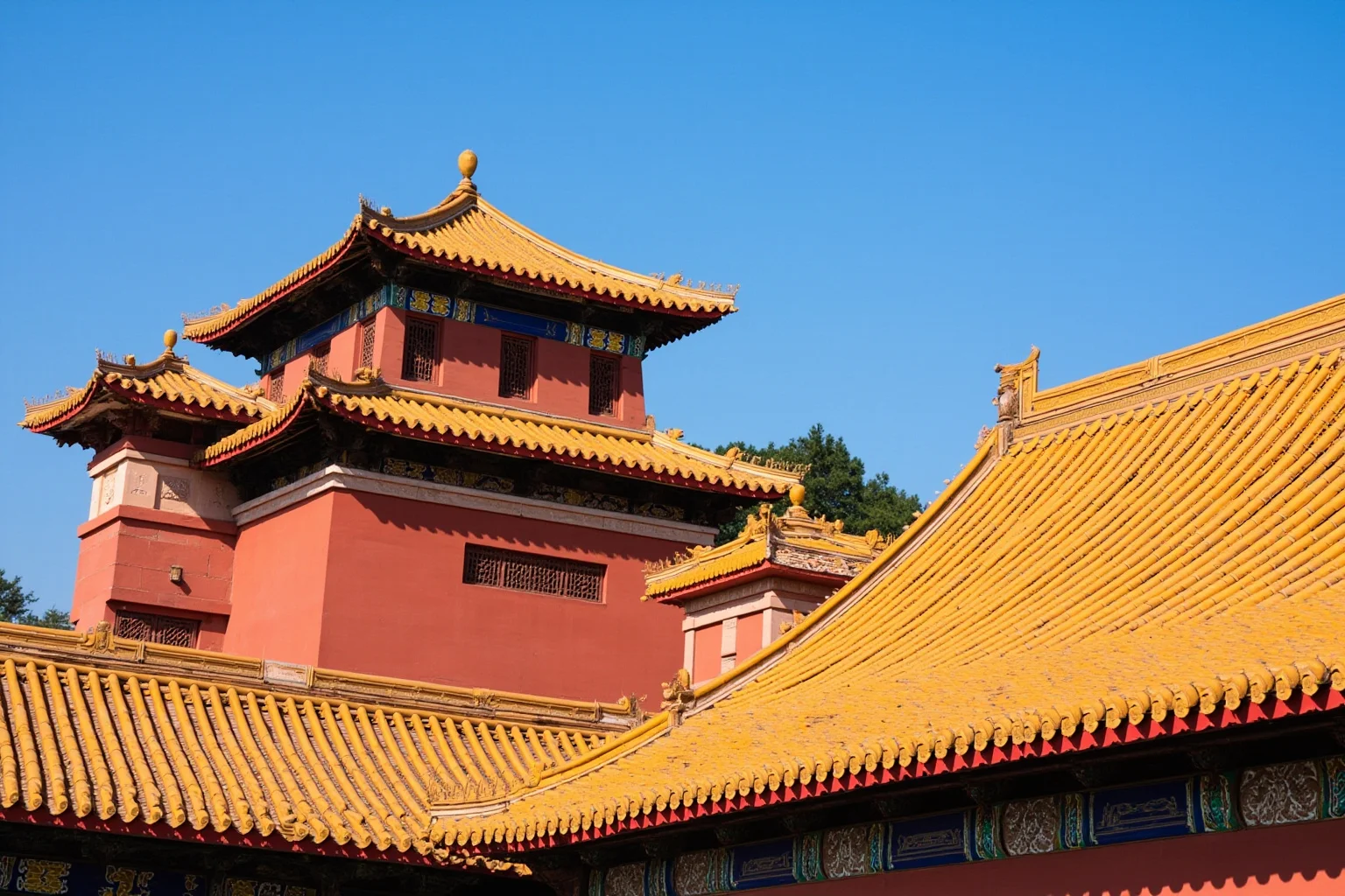 The Forbidden City's red walls and golden rooftops under a clear blue sky