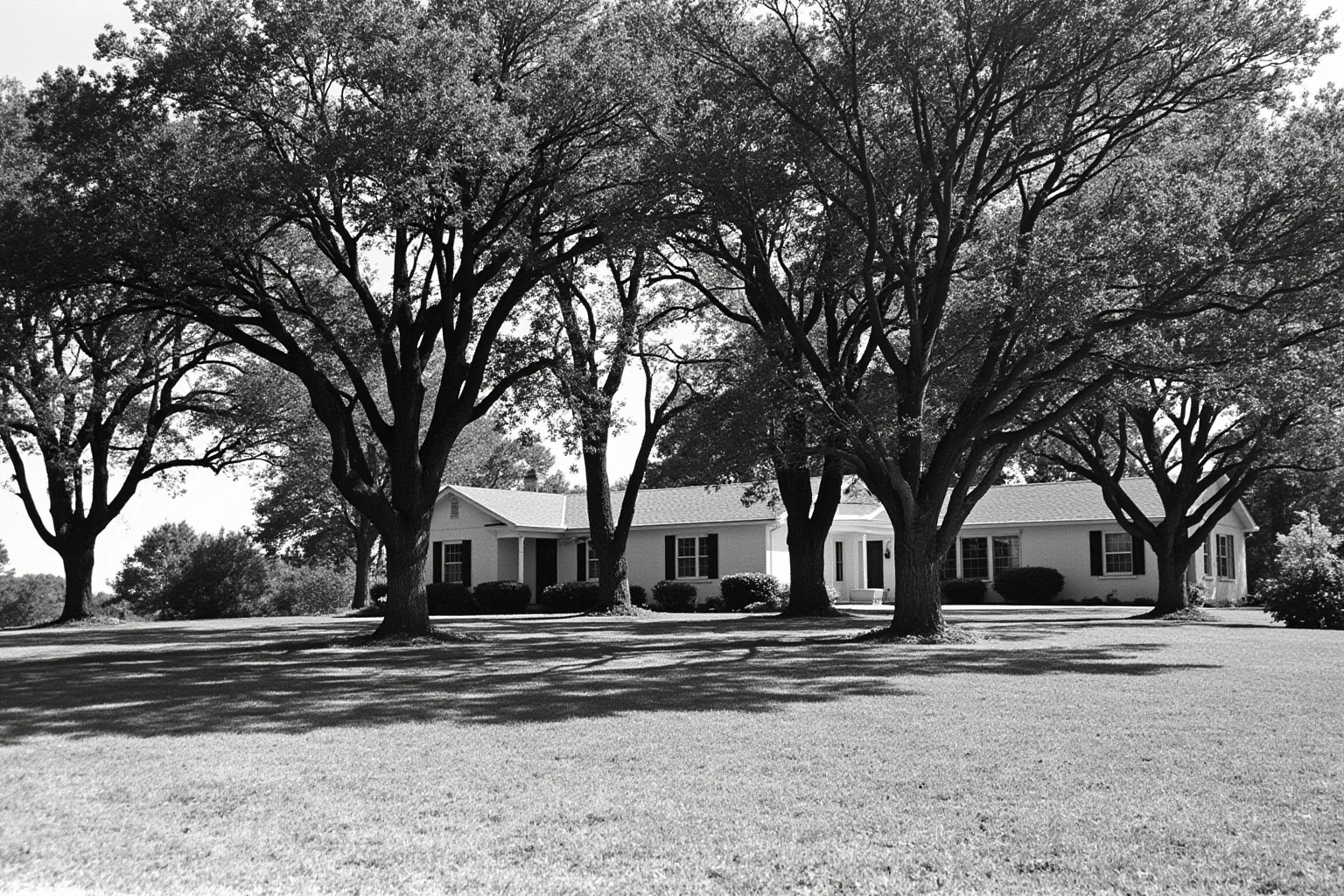 A 1960s American presidential ranch landscape with oak trees and a modest house, no people visible.