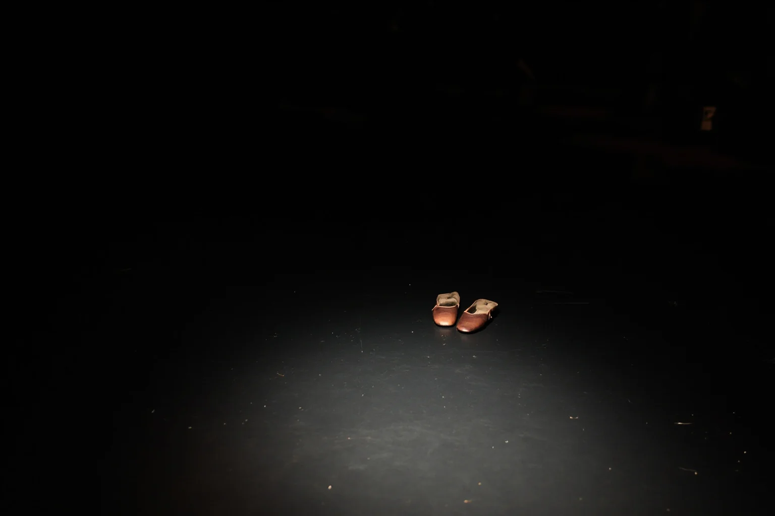 Things To Learn About The Beloved Princess Diana 16 A ballet stage with a single spotlight and a pair of ballet shoes at the edge, atmospheric lighting, no people.