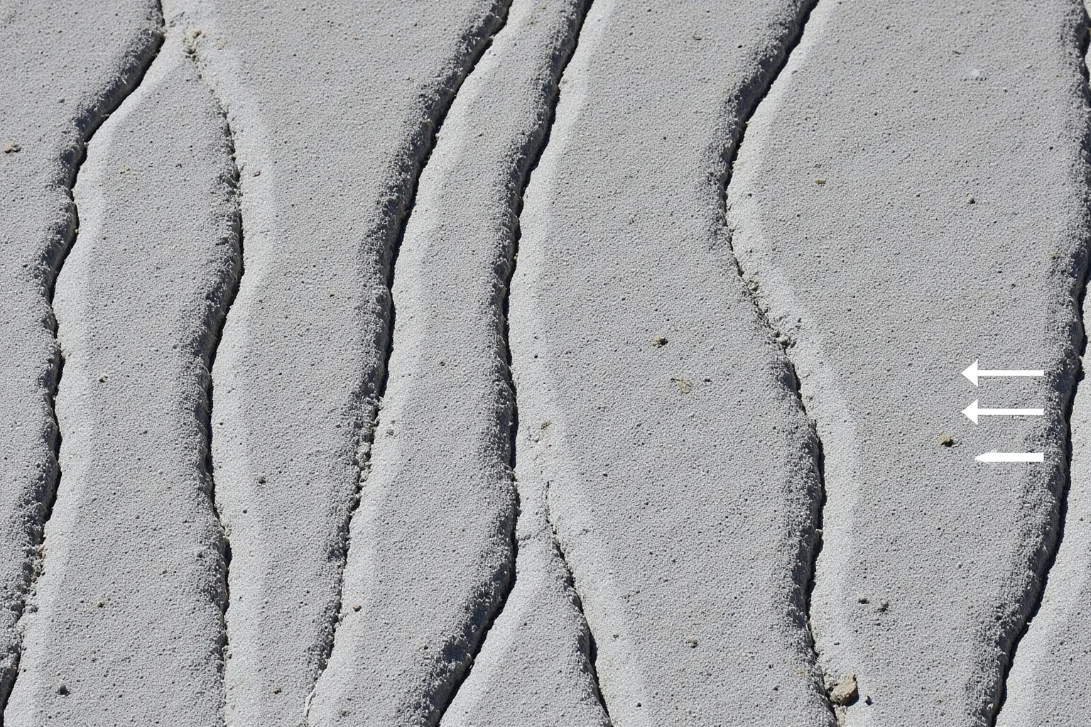 Pangea's Influence: 20 Ways We Can Tell How and Where the Continents Were Fused 7 A photograph of glacial striations on bedrock in South America, with arrows indicating ice flow direction.