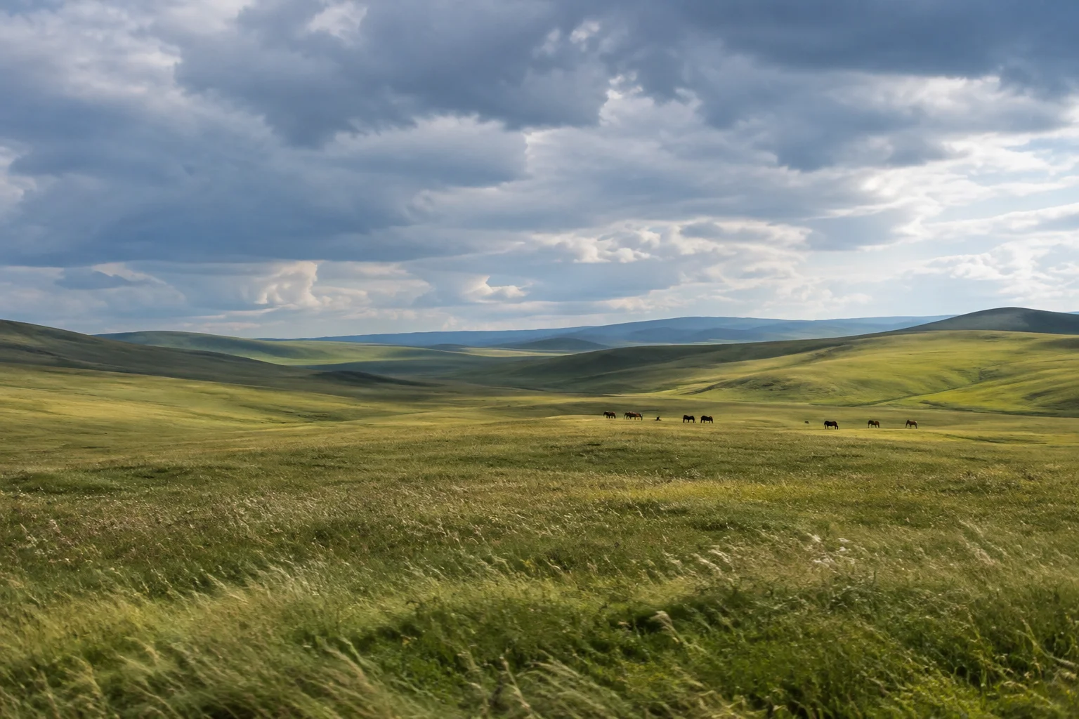 Historical Icons Buried in Unmarked Graves: 20 Famous Figures Without a Marker 3 A vast windswept Mongolian steppe with distant horses and rolling grass hills under a cloudy sky, no people or structures, evoking a hidden burial site.
