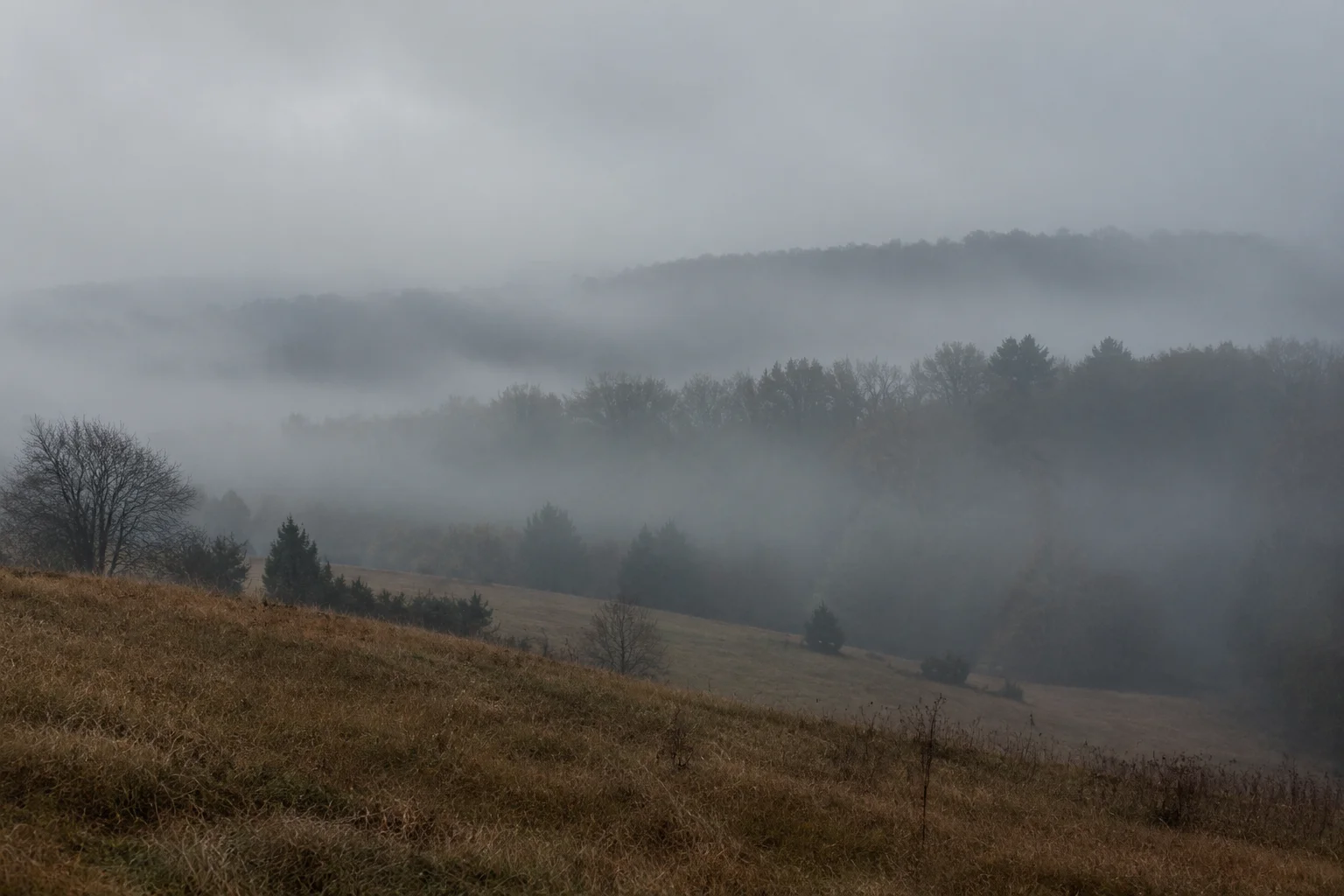 The Election Decided By A Dead Man: The True Story of Missouri's 2000 Senate Race 3 A wide shot of a rural Missouri hillside shrouded in heavy fog with a distant treeline, evoking a somber mood, no people or vehicles shown.