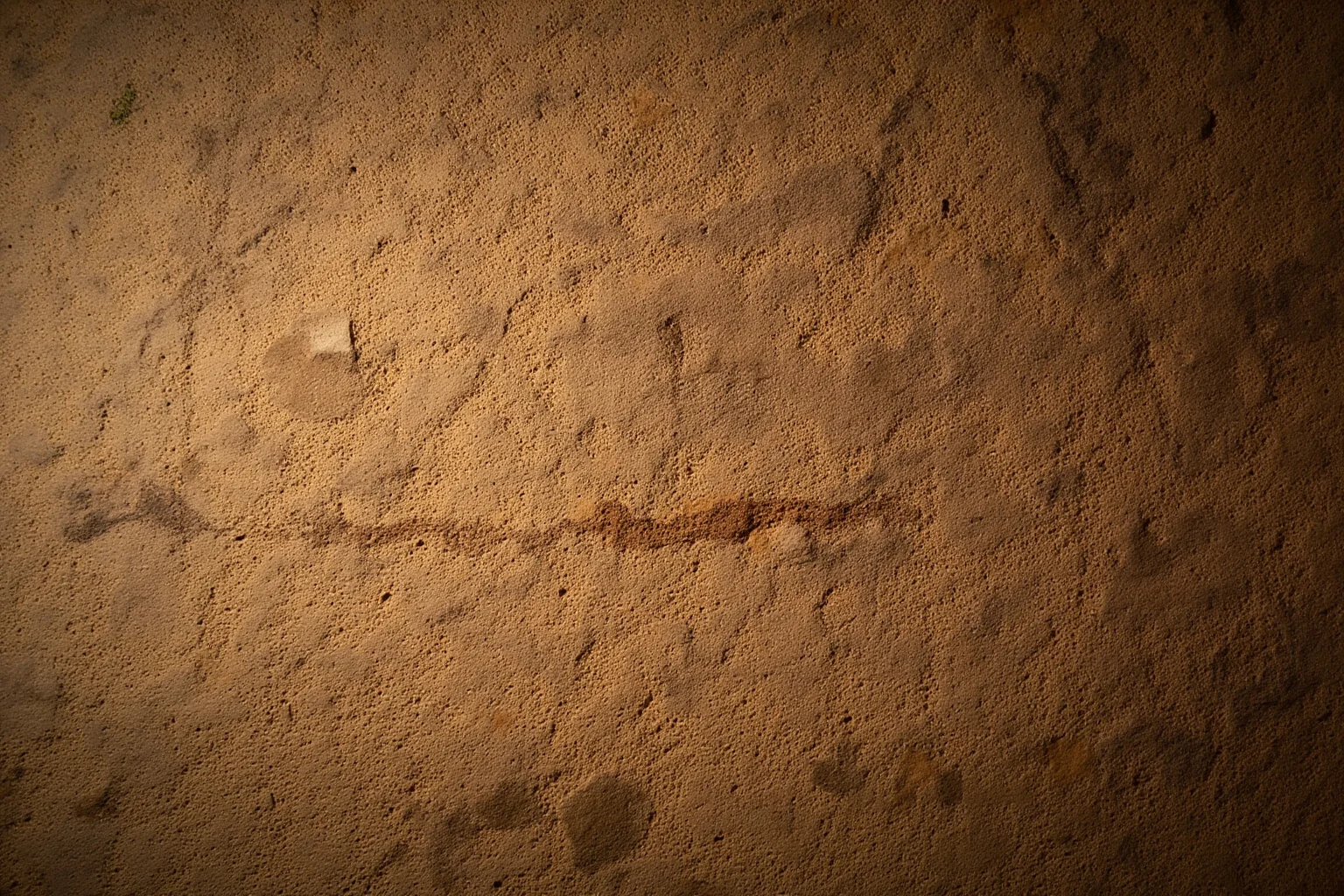 23 Ancient Graffiti Messages That Sound Shockingly Modern 3 Ancient Roman wall densely covered in fine scratched graffiti lines, one fresh line subtly highlighted by light, archaeological documentary photography style.