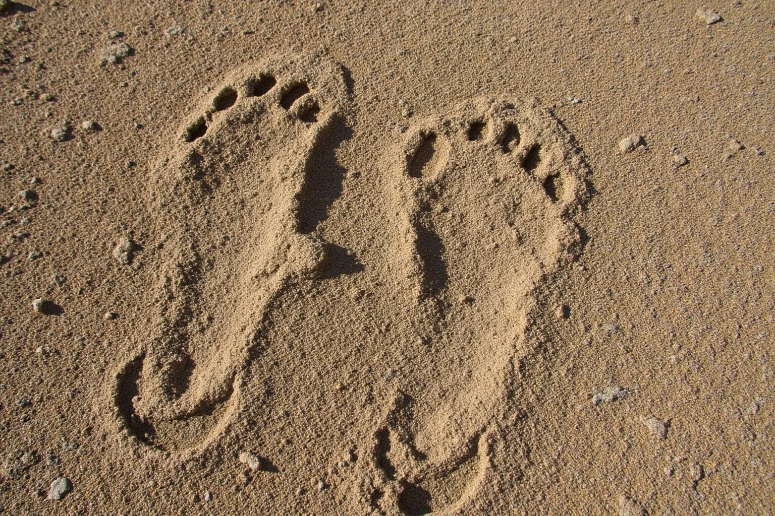 Human footprints alongside dinosaur tracks in Paluxy River bed, Texas, dry riverbed, photorealistic